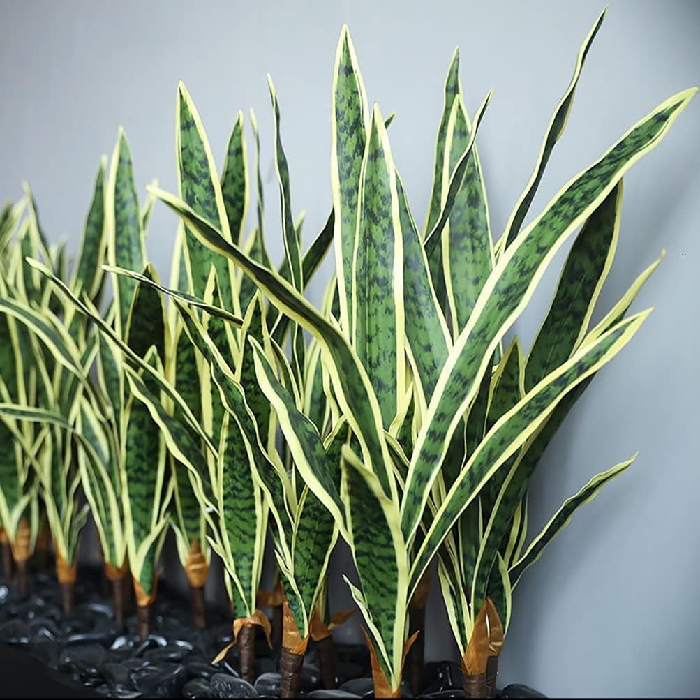 Realistic Faux Sansevieria Plants Set – Home Office Greenery