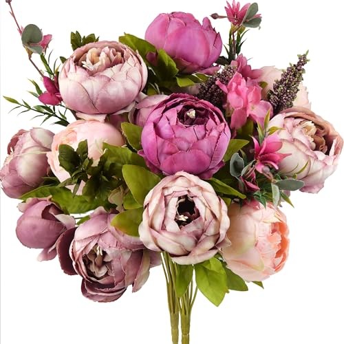Soft Peach Pink and Magenta Celestial Beauty (Soft Peach Pink and Magenta Red)