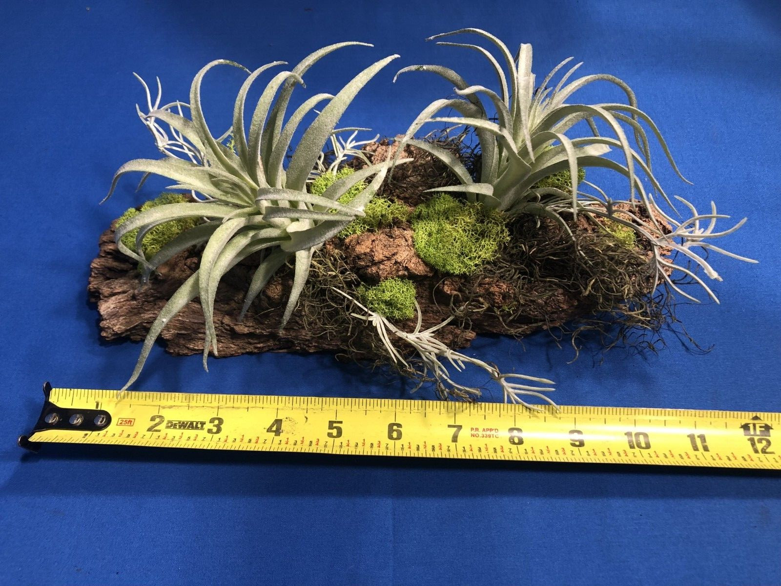 Artificial Succulent Air Plant Wall Art Home Office Mounted on Real Wood Bark
