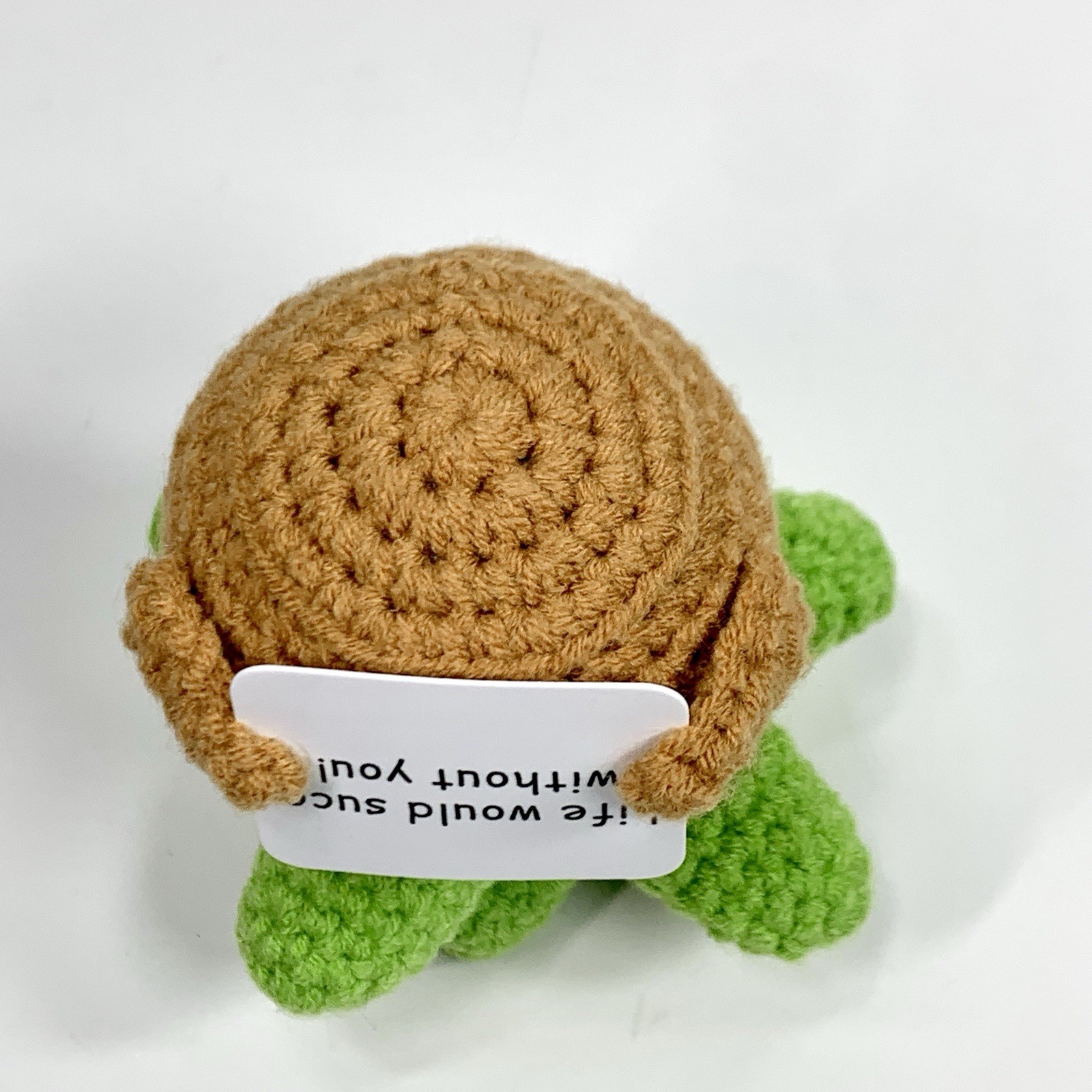 Small Novelty Crochet Succulent Potted Plant Saying Life Would Succ Without You