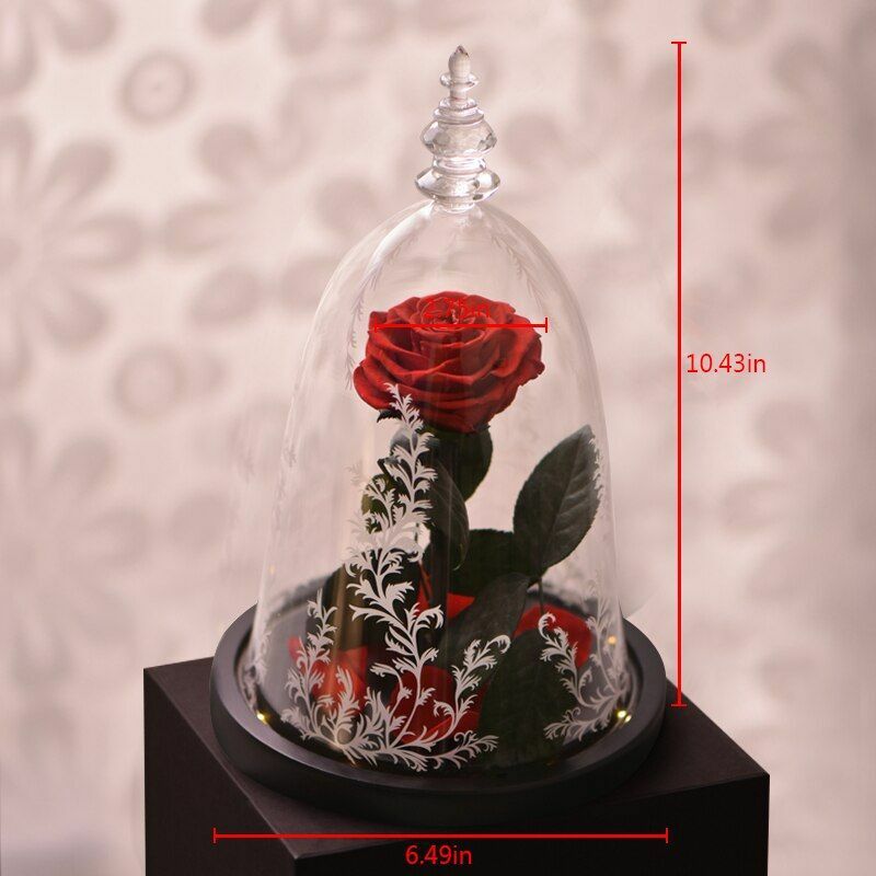 Eternal Rose Flowers In Glass Christmas Love Mothers Valentines Day Gifts Womens