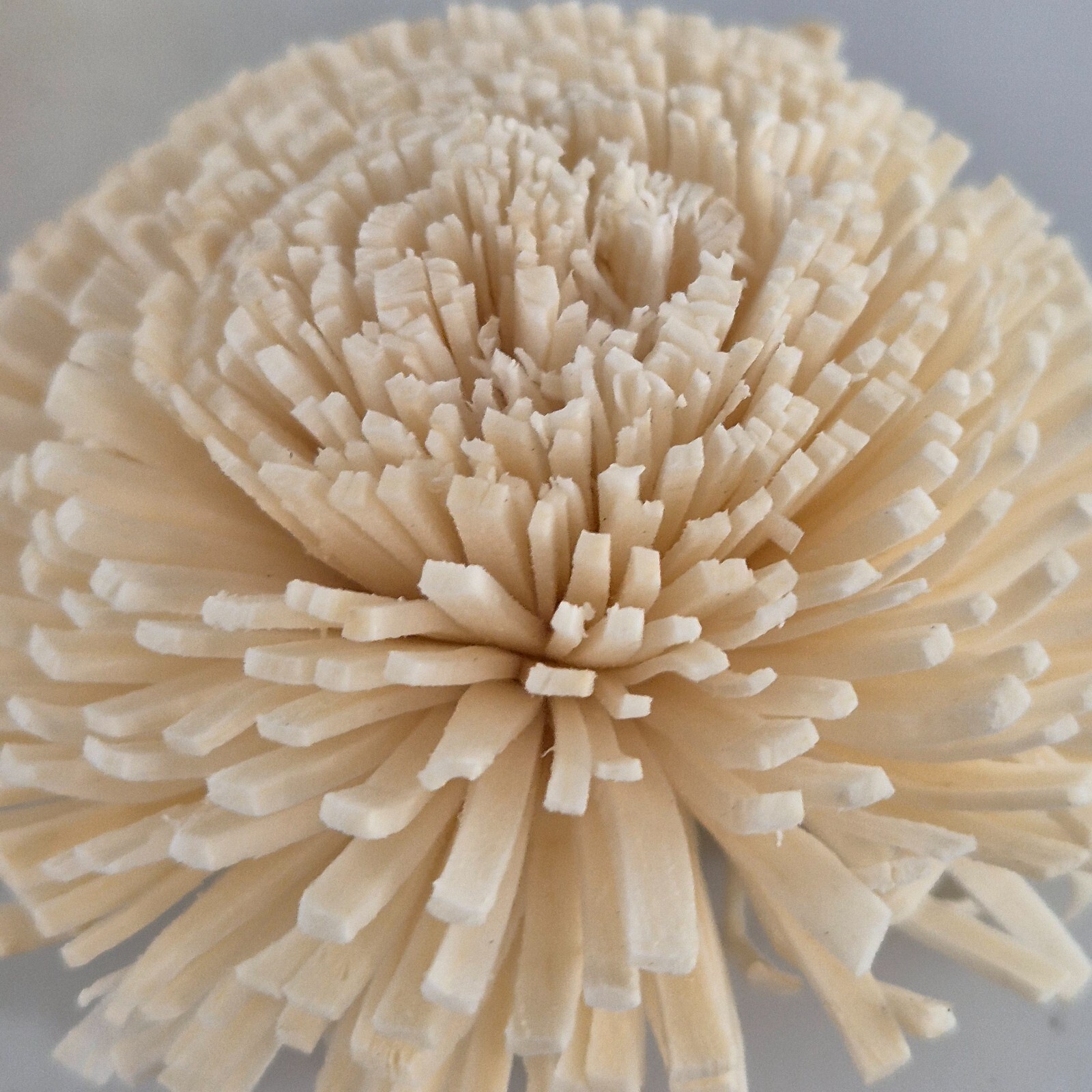 Paper Wood Flowers x 14 Cream Table Decor Multi Purpose Faux Flower