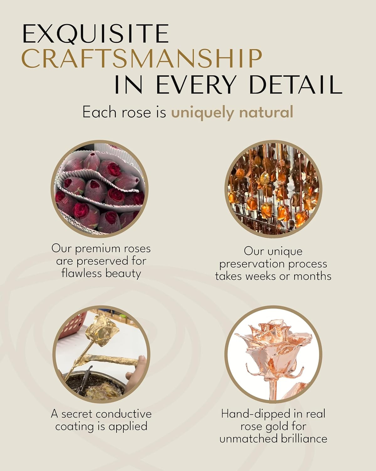 Real Rose Dipped in Rose Gold, Handcrafted Preserved Rose in Luxury Gold Gift Bo