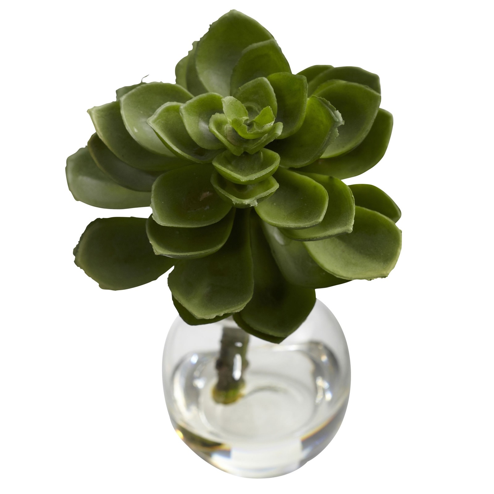 5.5 Inch Succulent Arrangements Set of 3 Faux Plants in Mini Vases with Liquid
