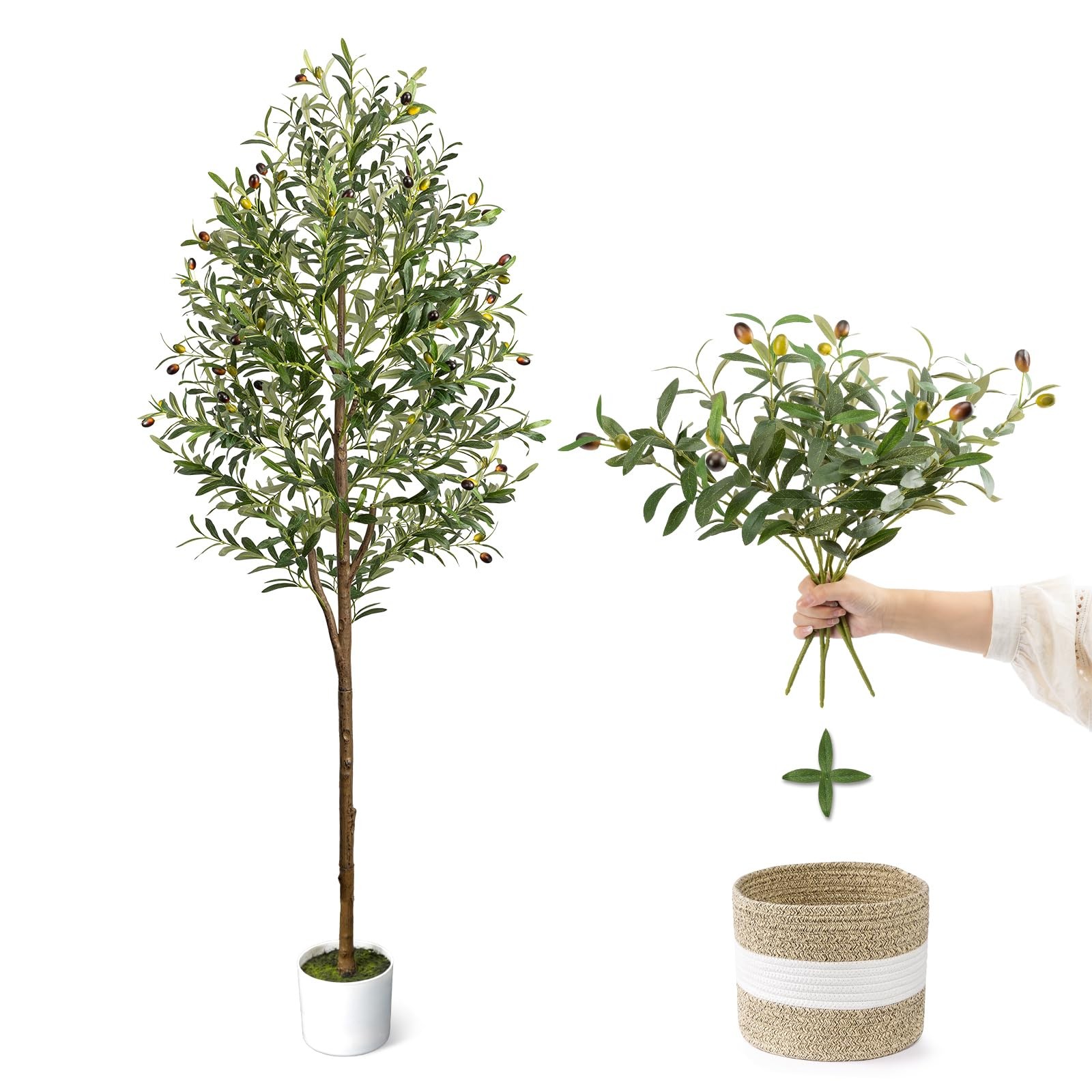 LuceAlberi 6FT Artificial 6in, 6ft Olive Tree With Branches&basket Green