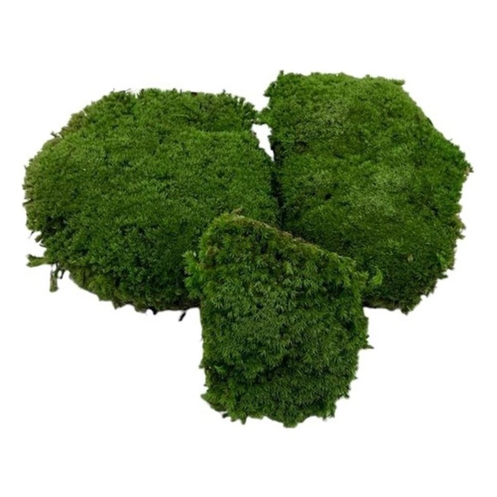 Pemberly Row Preserved Pole Bun Pillow Cushion Moss in Emerald Green