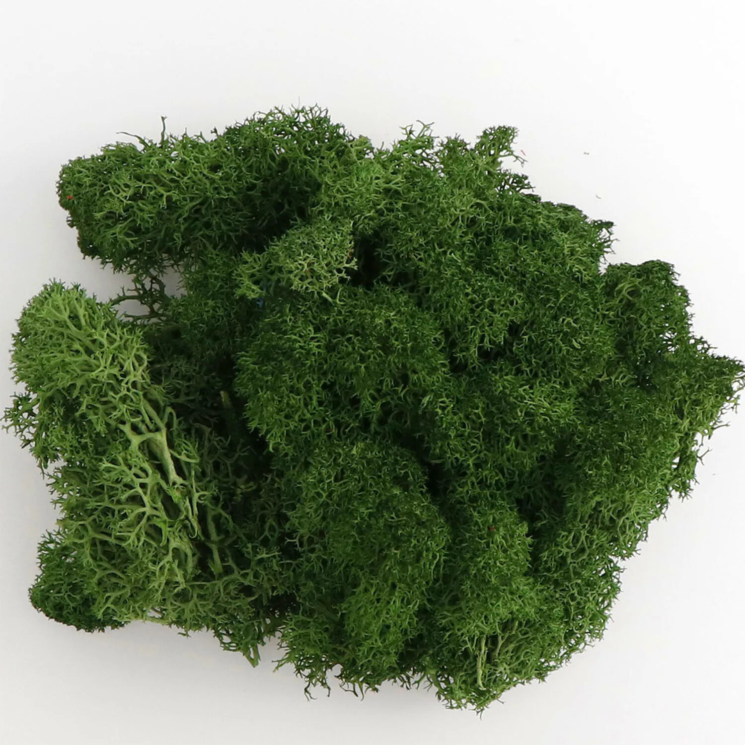 20g Artificial Green Moss Plants Fake Grass Eternal Life Grass Mini Landscape