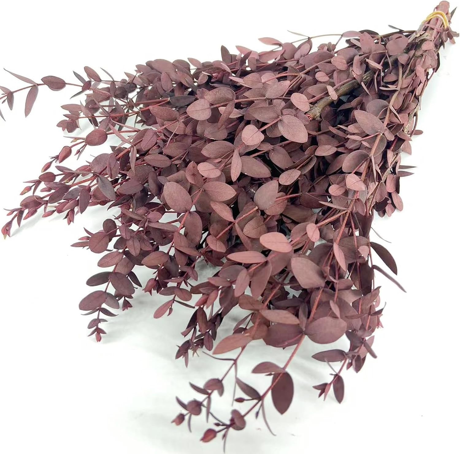 Preserved Dried Eucalyptus Greenery Stems, 20+ Pcs 16 inches Natural Long Las…