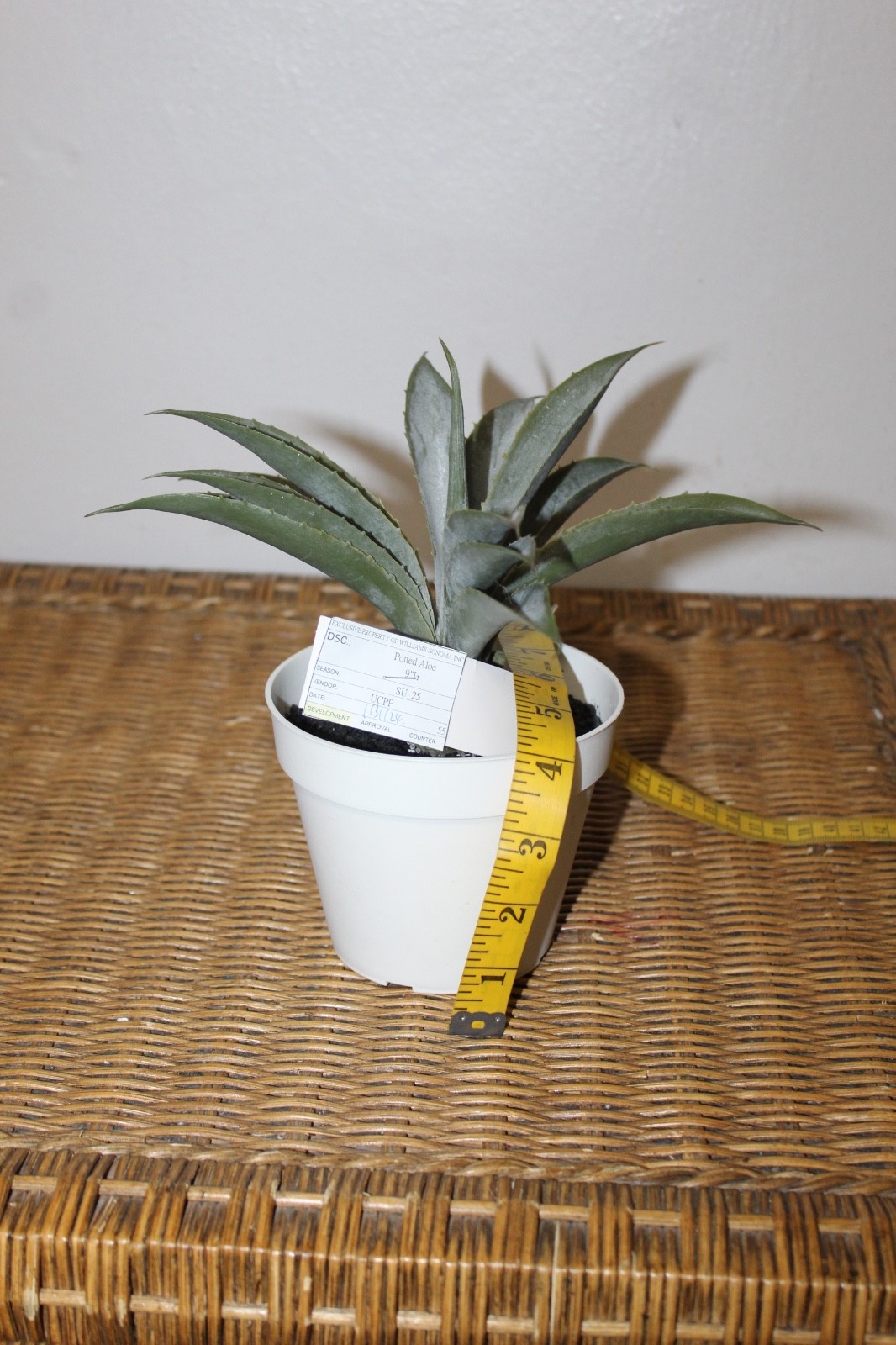 Williams Sonoma Artificial Potted Aloe.