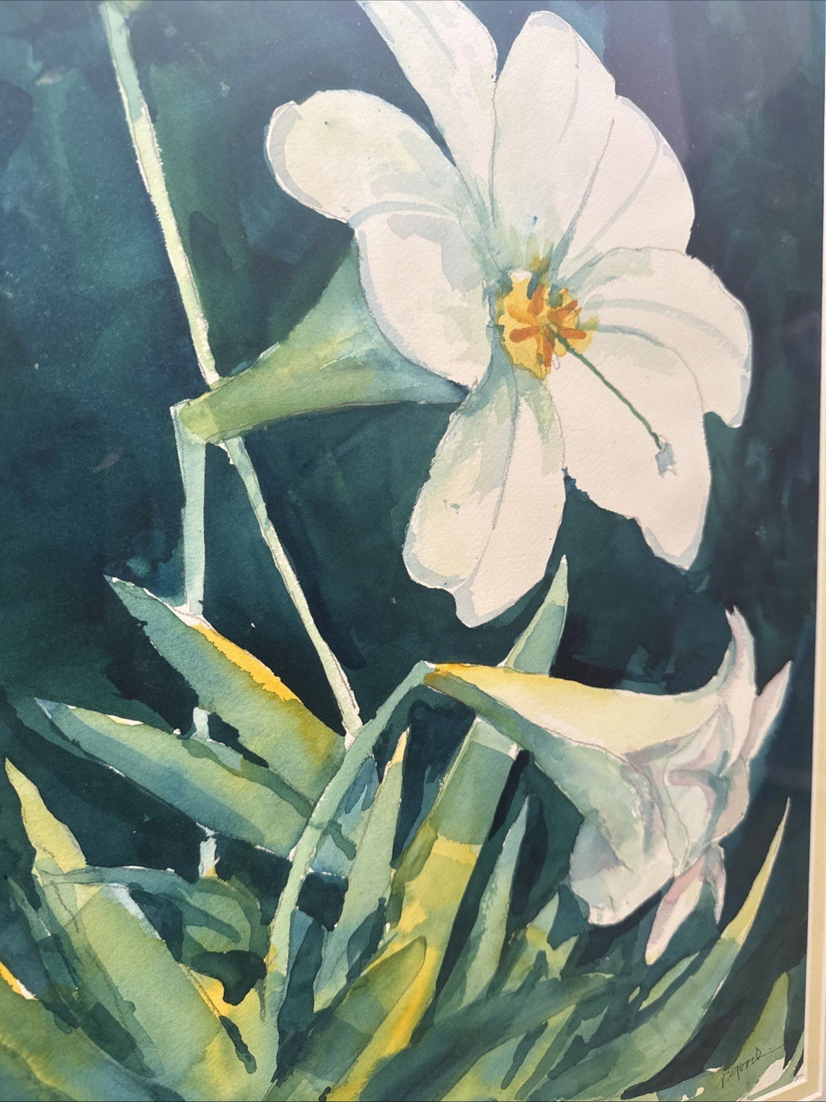 Original Watercolor Botanical Art Set – Framed Magnolia & Lily – Vintage Decor