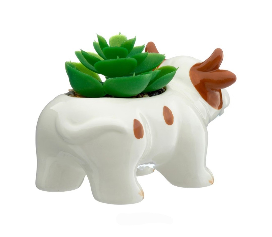 Old East Main Co. High Quality Animal Shape Planters With Lifelike Succulent