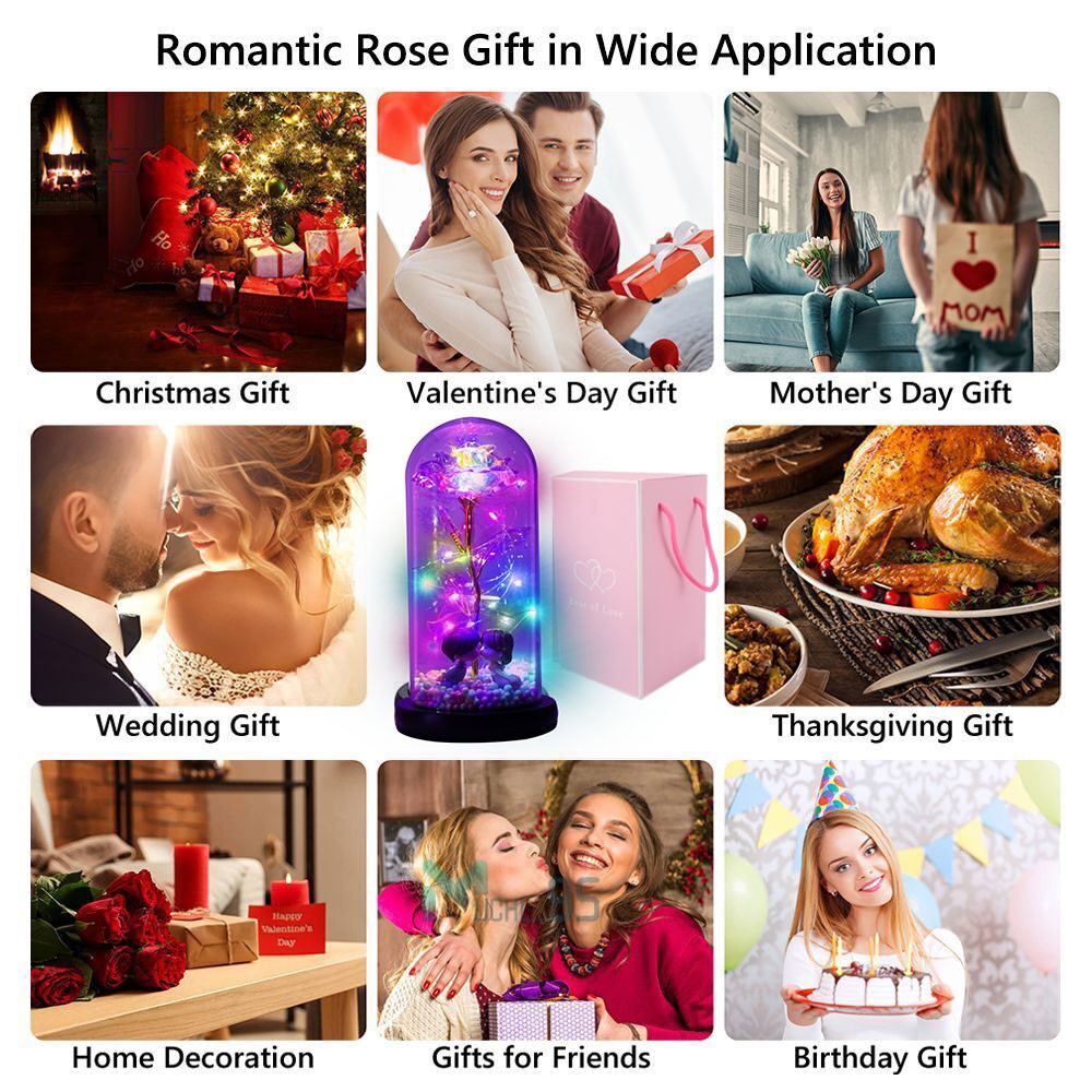 Christmas Rose Gift for Her Women Girlfriend Wife Valentines Birthday Presents