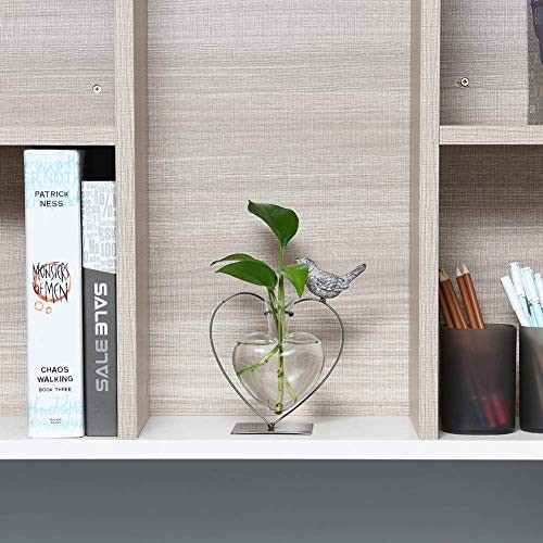Desktop Glass Vase, Bulb Glass Vases for Holder, Heart Bird Planter Glass Vase