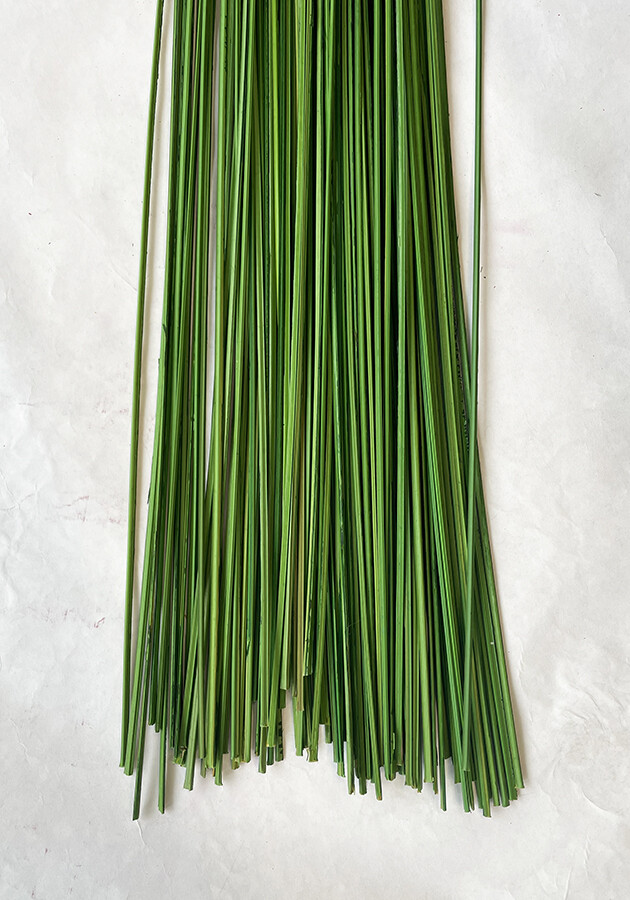 Wispies Pack of 100 Stems 4-5ft Green