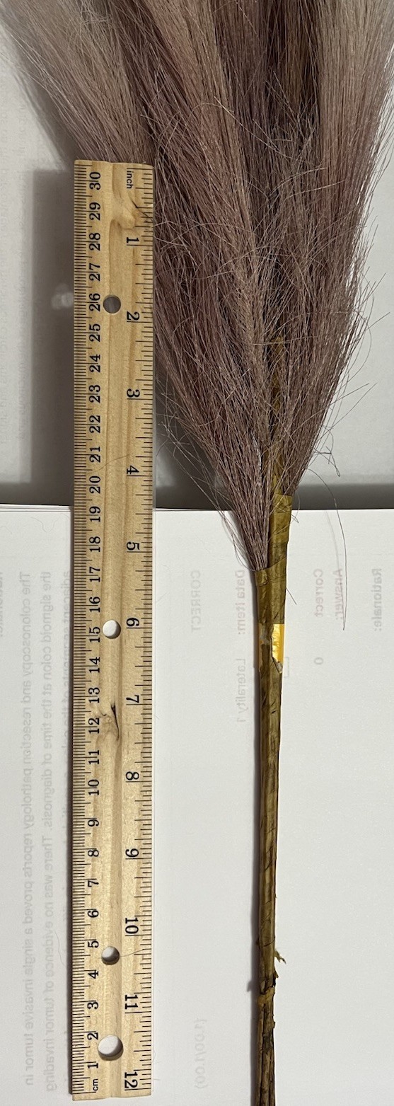 Ansemble of Faux Pampus Grass Bohemian Style Floral Arrangements about 5 Sprigs