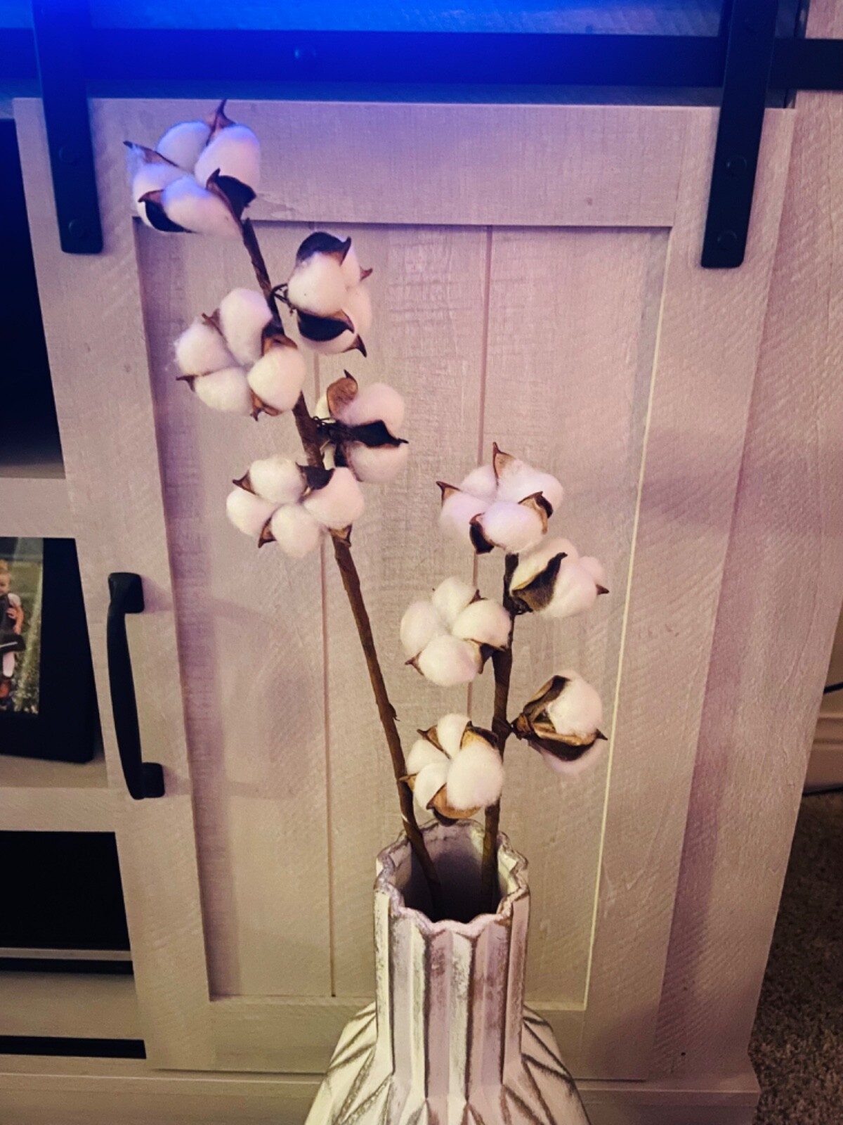 Idyllic Pack of 6 Cotton Stems Natural Dried Cotton Each Stem is 31in long -NEW