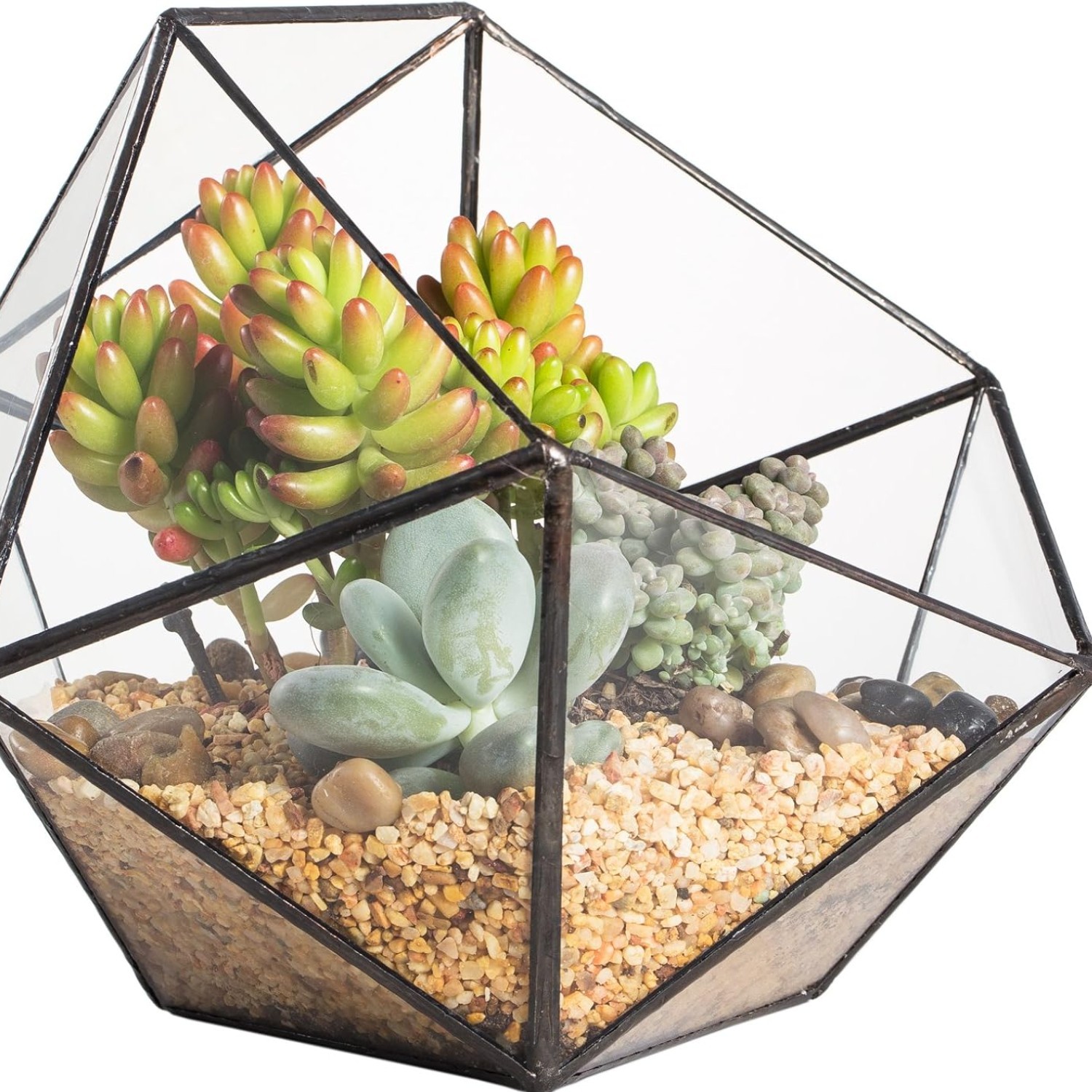 Opened Geometric Glass Terrarium, 6.69″ Bowl Shape Planter For Succulent Plant