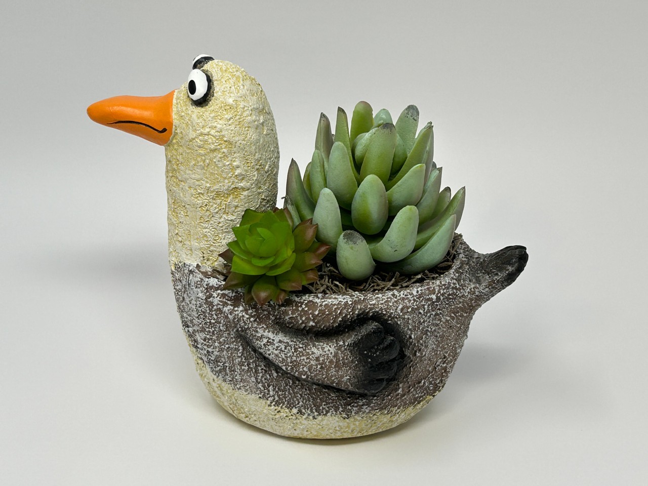 6.5″ Potted Lg SEAGULL Blob House pot with Artificial Senecio & Echeveria Cabbag