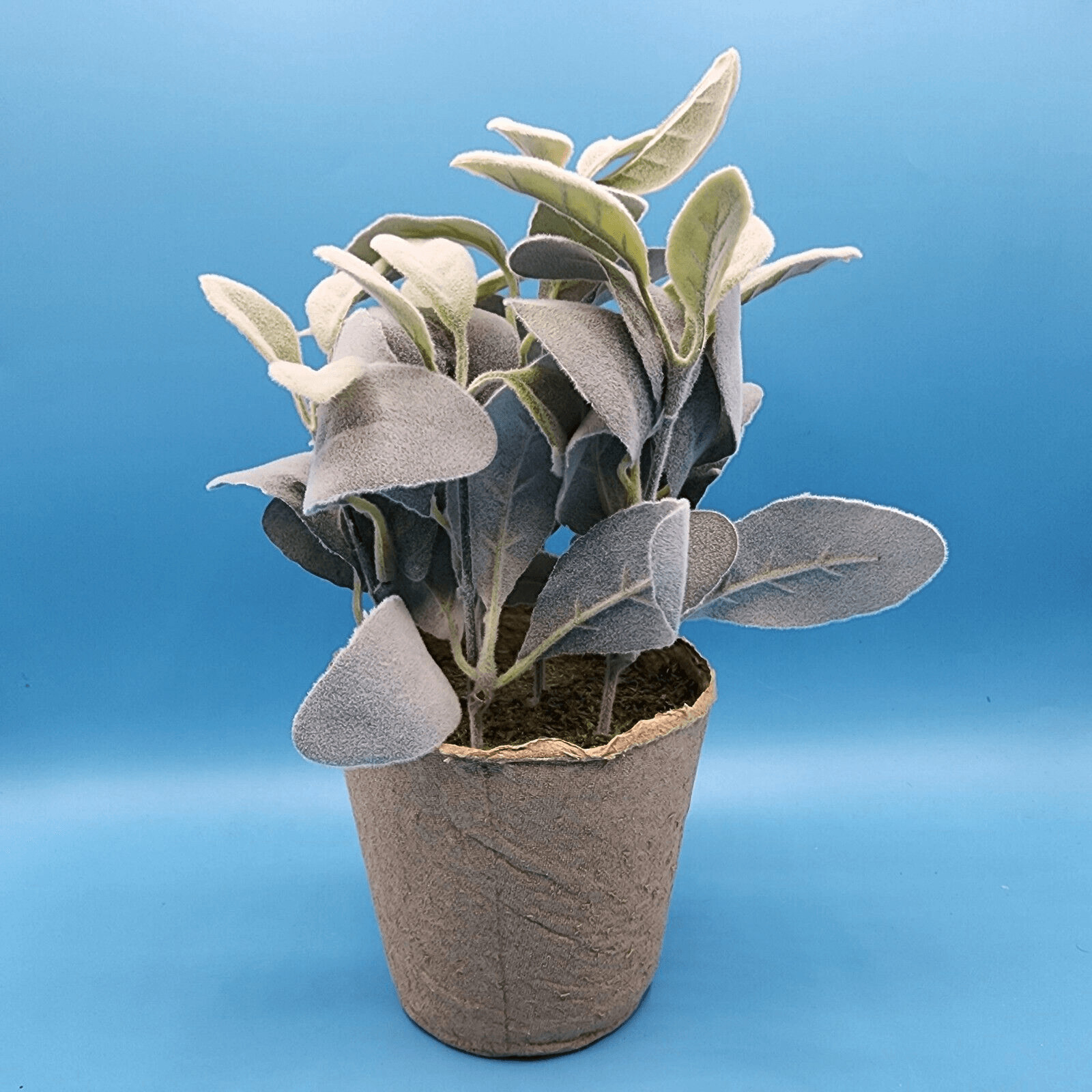 Flocked Lambs Ear Artificial Plant with Moss In Brown Paper Pot 10 inch