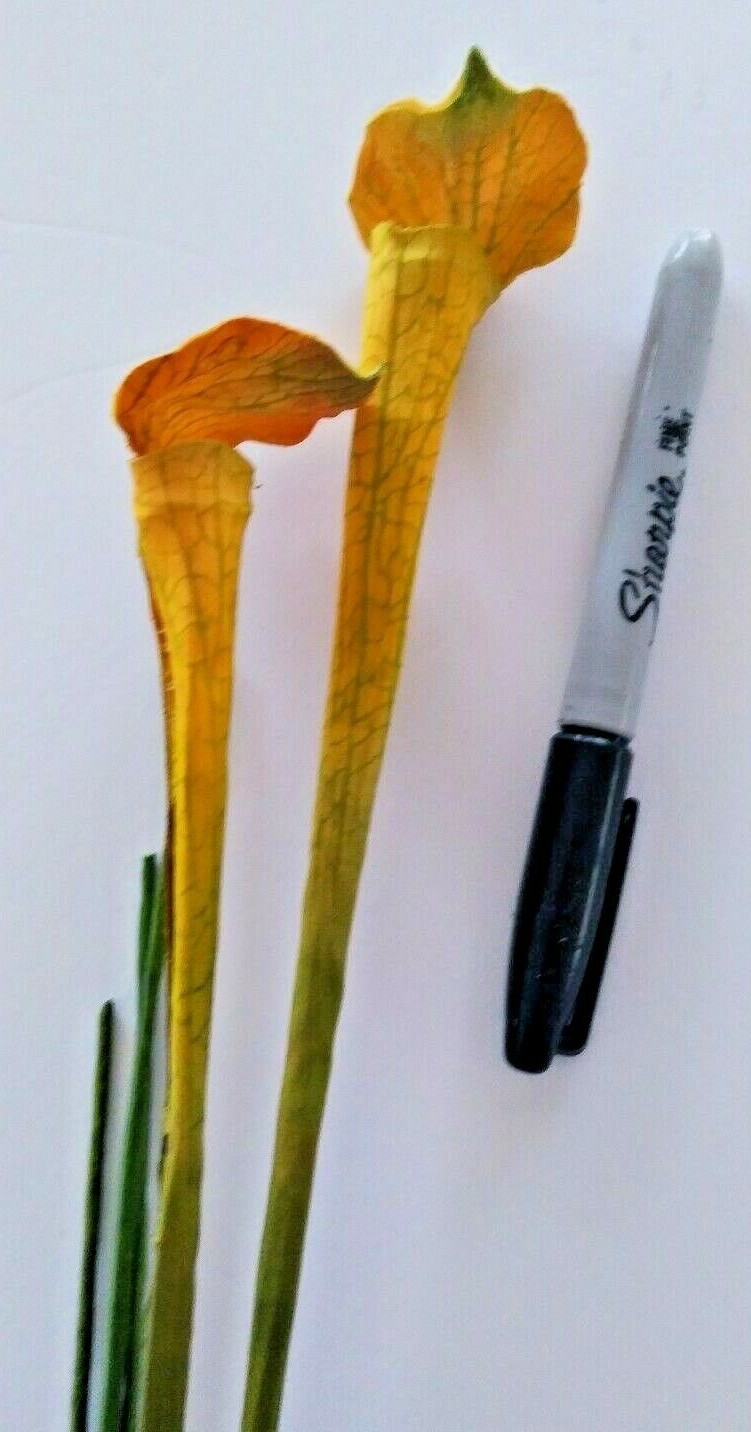 21″ Mini Yellow Pitcher Plant Stems. Silk Flower Floral Arrangements.
