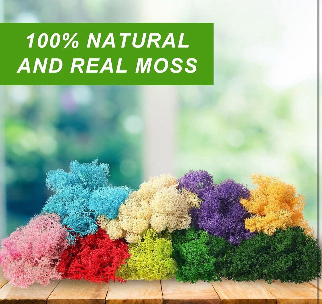 7 Oz Colored Fake Moss Preserved for Crafts Artificial Decorative Moss Faux