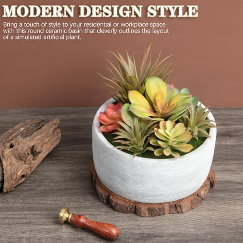 Artificial Succulent Plants in Pots,Fake Succulents with Gray 6inch Grey#1