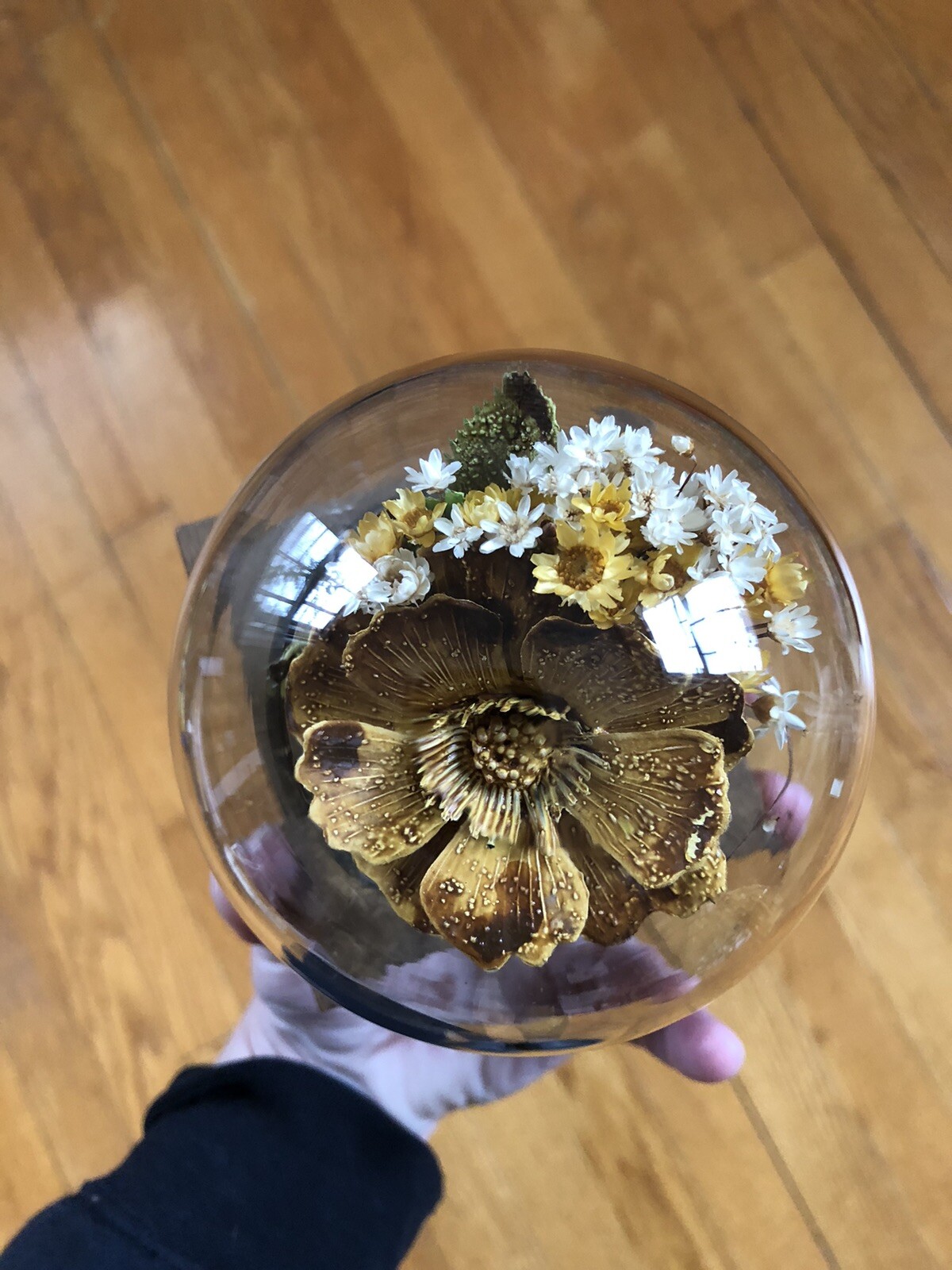 Vintage Glass Incased Flower Arrangement by Leonard Creations