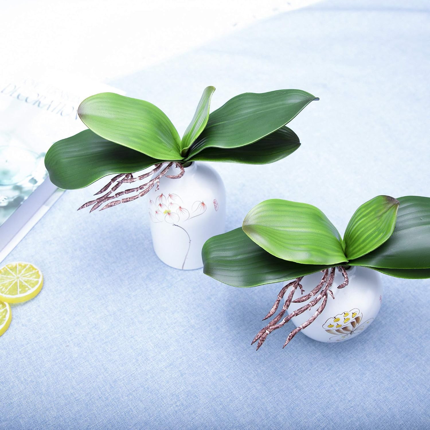 Orchid Leaves Artificial Phalaenopsis Stems Leaf Real Touch 8″ 2Pcs | Faux Cymbi