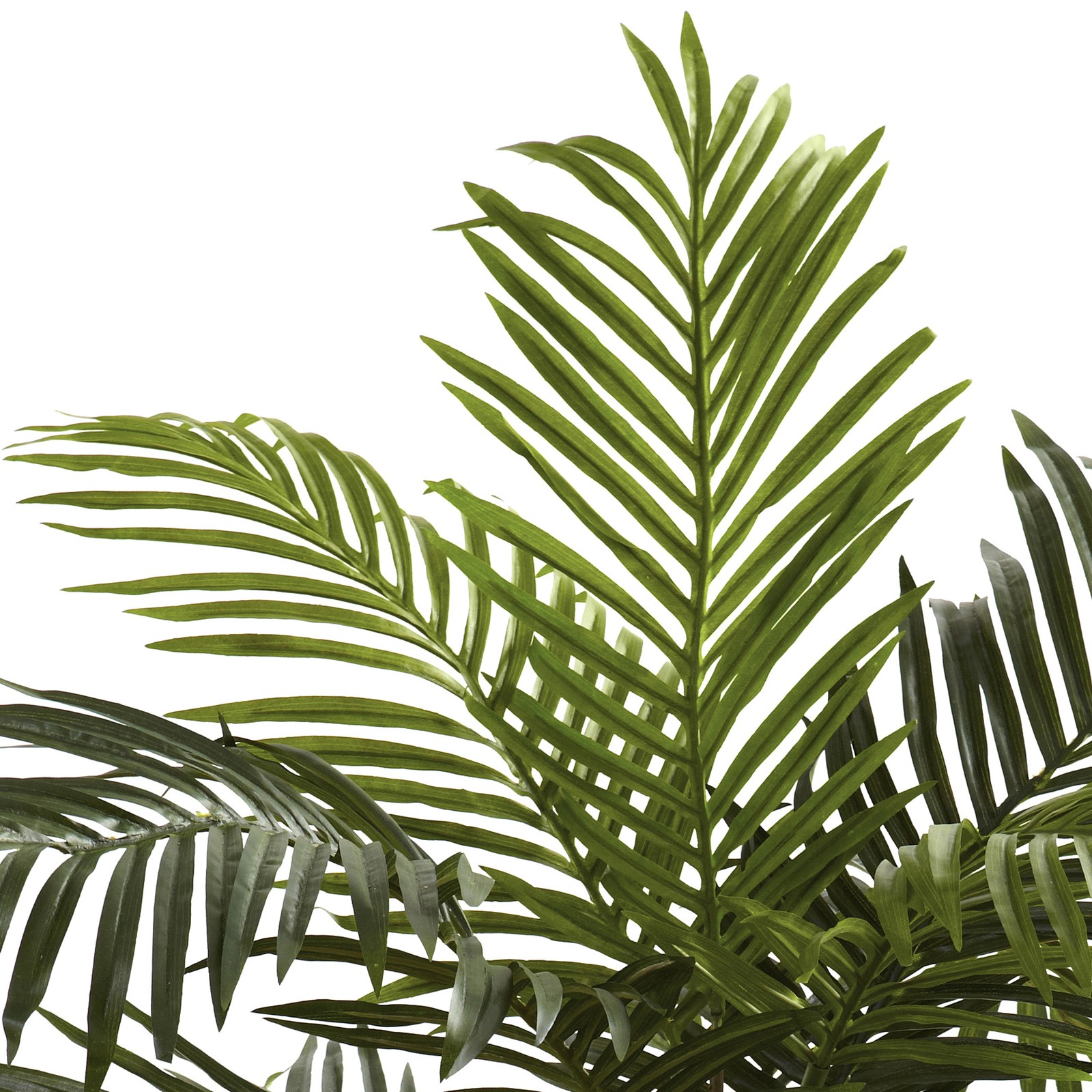Nearly Natural 60″ Golden Cane Palm Tree with 2-Trunks and Leaves in Green/Black