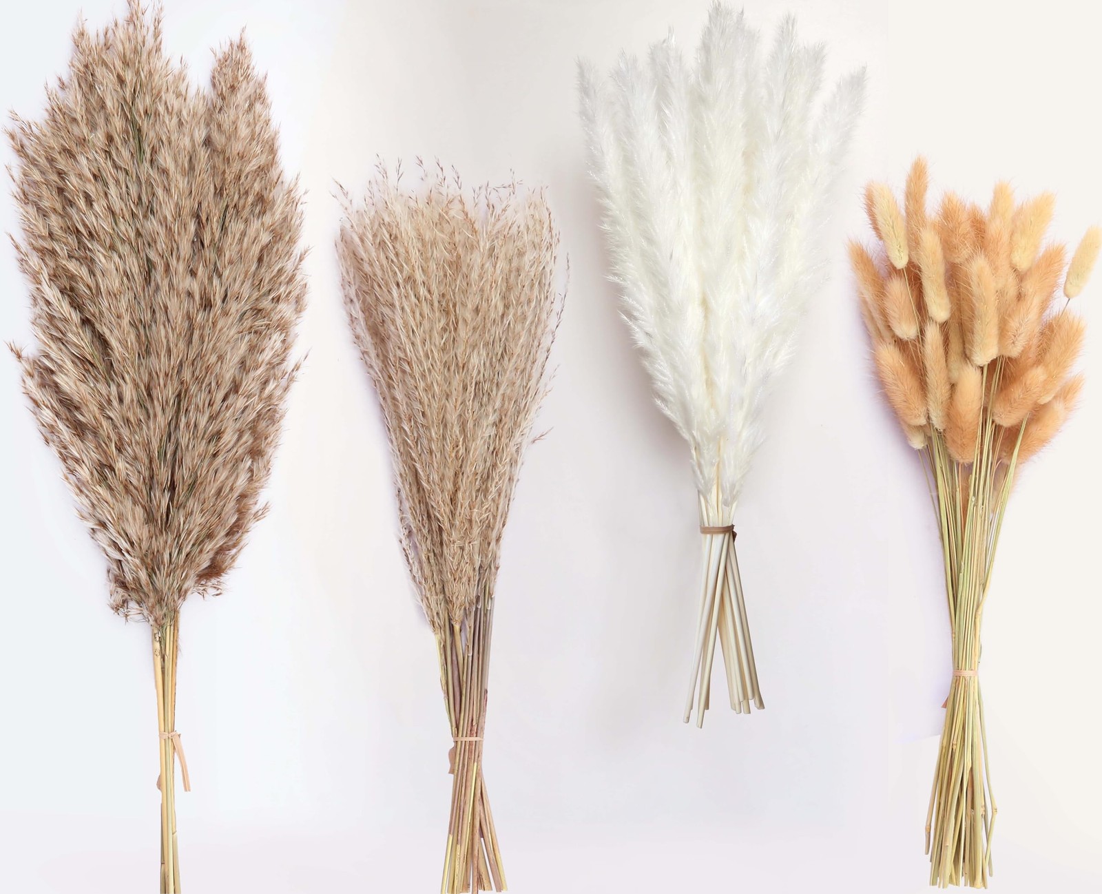 100 Stems Dried Pampas Grass, Boho Table Decor Natural Reed 100 PCS, White