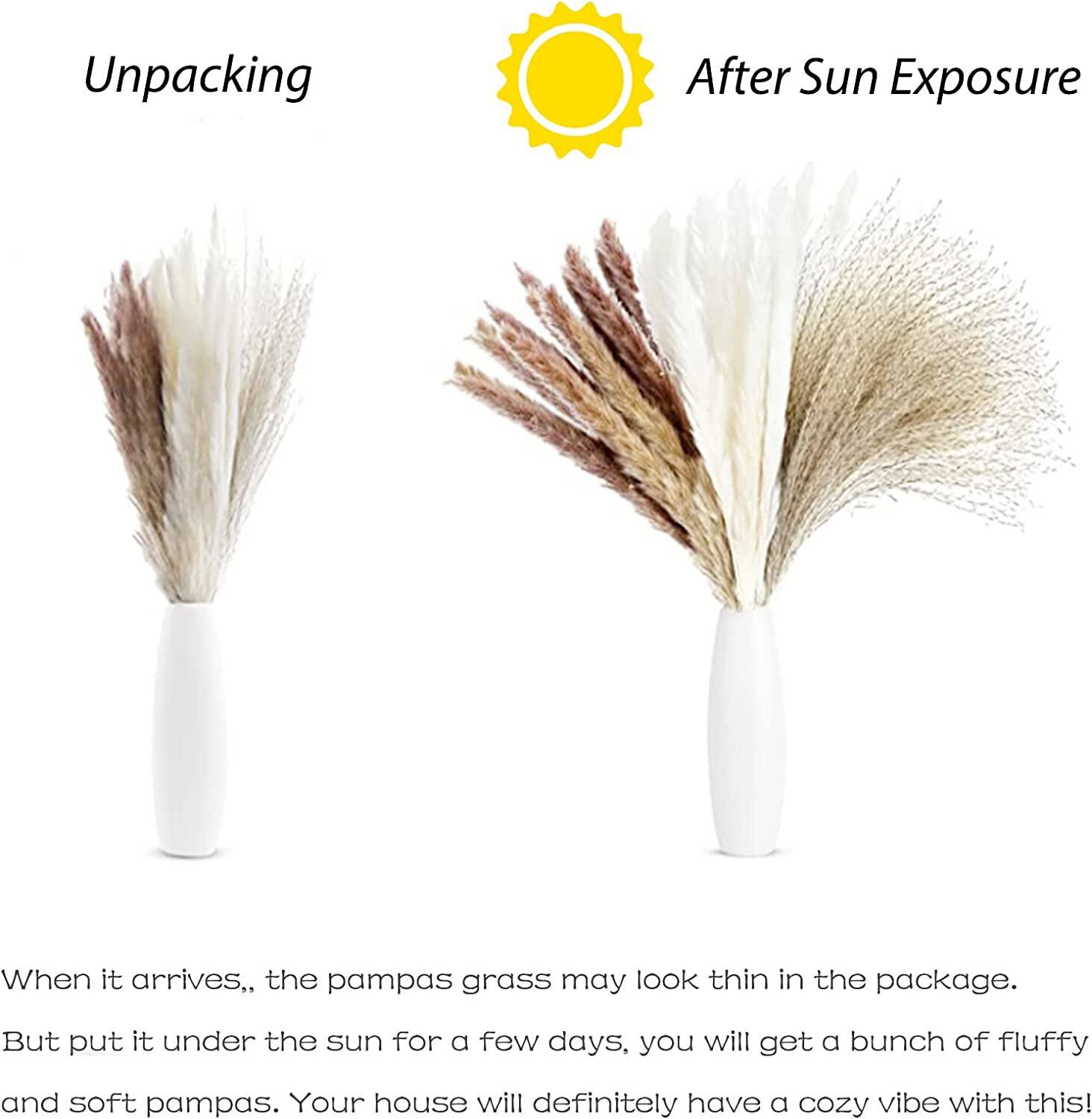 Natural Dried Plants Flower Bouquet Pampas Grass Reeds for DIY Boho Decor Home