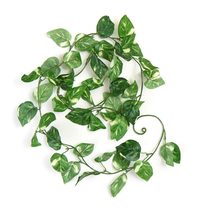 Set of 4 Variegated Poly Silk Artificial Caladium Vine Garlands, 72″ Long, each