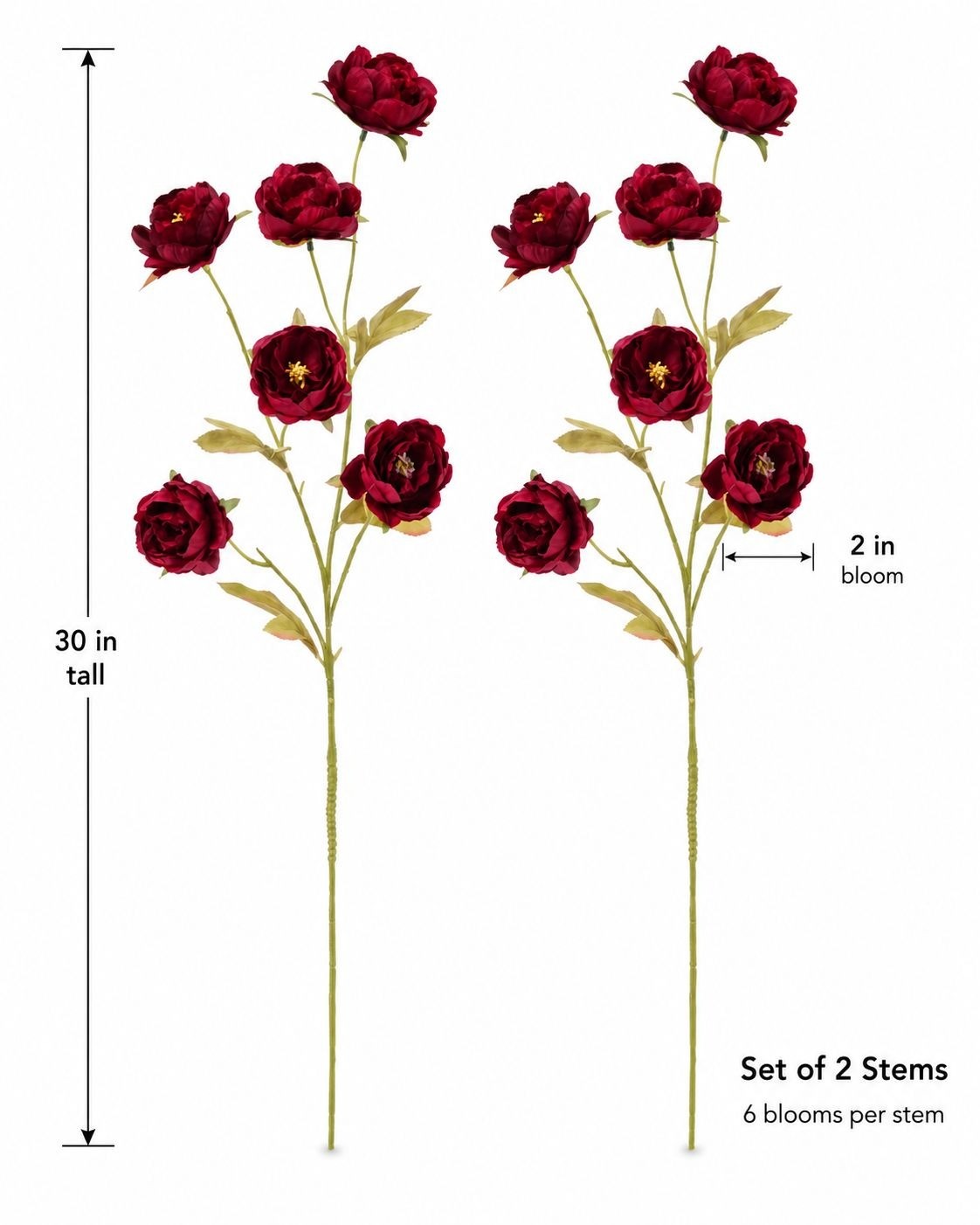 Burgundy Dark Red Ranunculus Peony Stems Set of 2, 30 in Artificial Fall Flowers