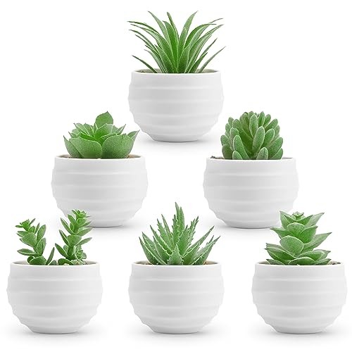 6 Pack Mini Fake Succulent Plants in White Pots Artificial Faux Greenery Decor
