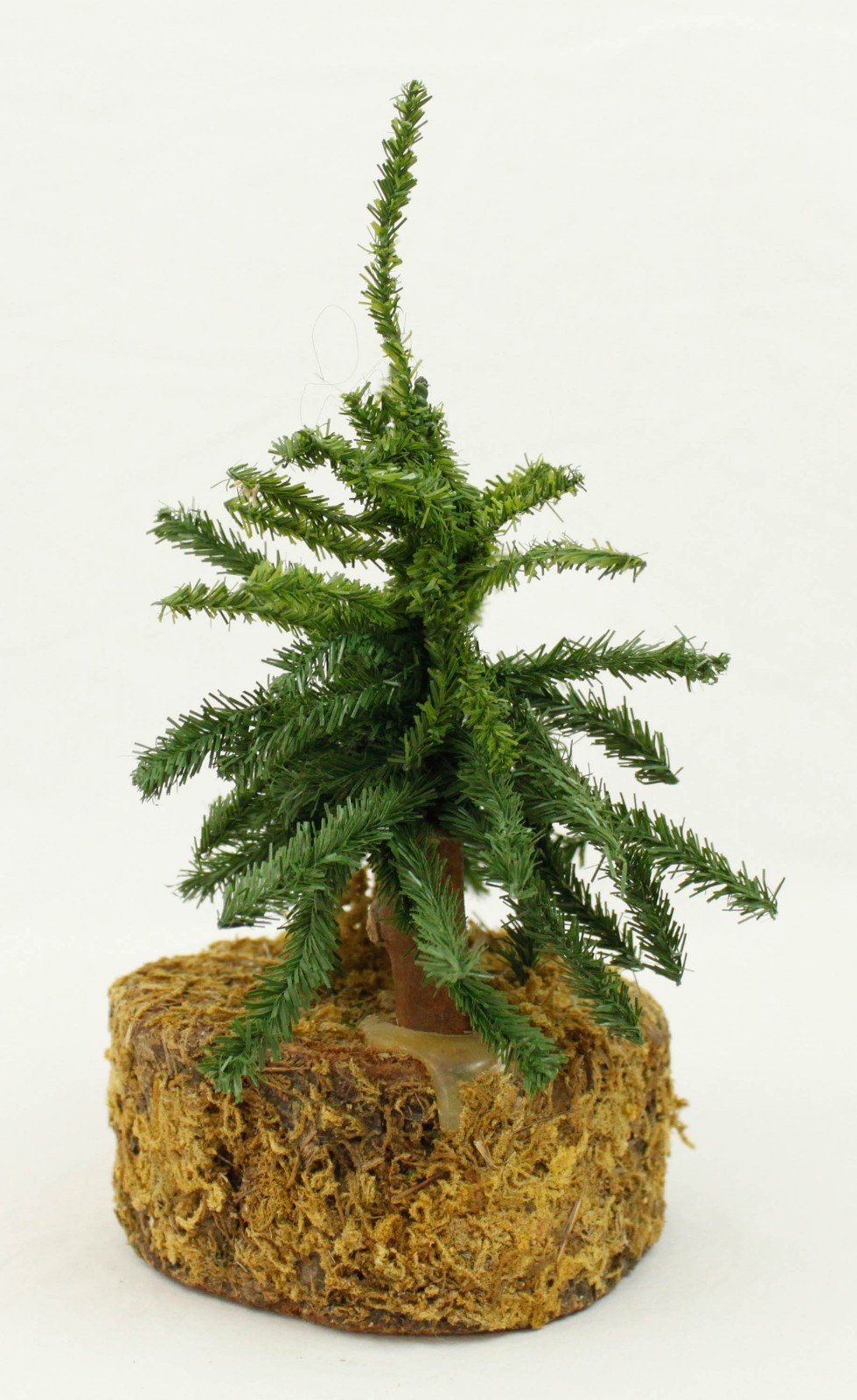 Two Small Pine Trees Tabletop Shelf Nature Decoration Moss Base