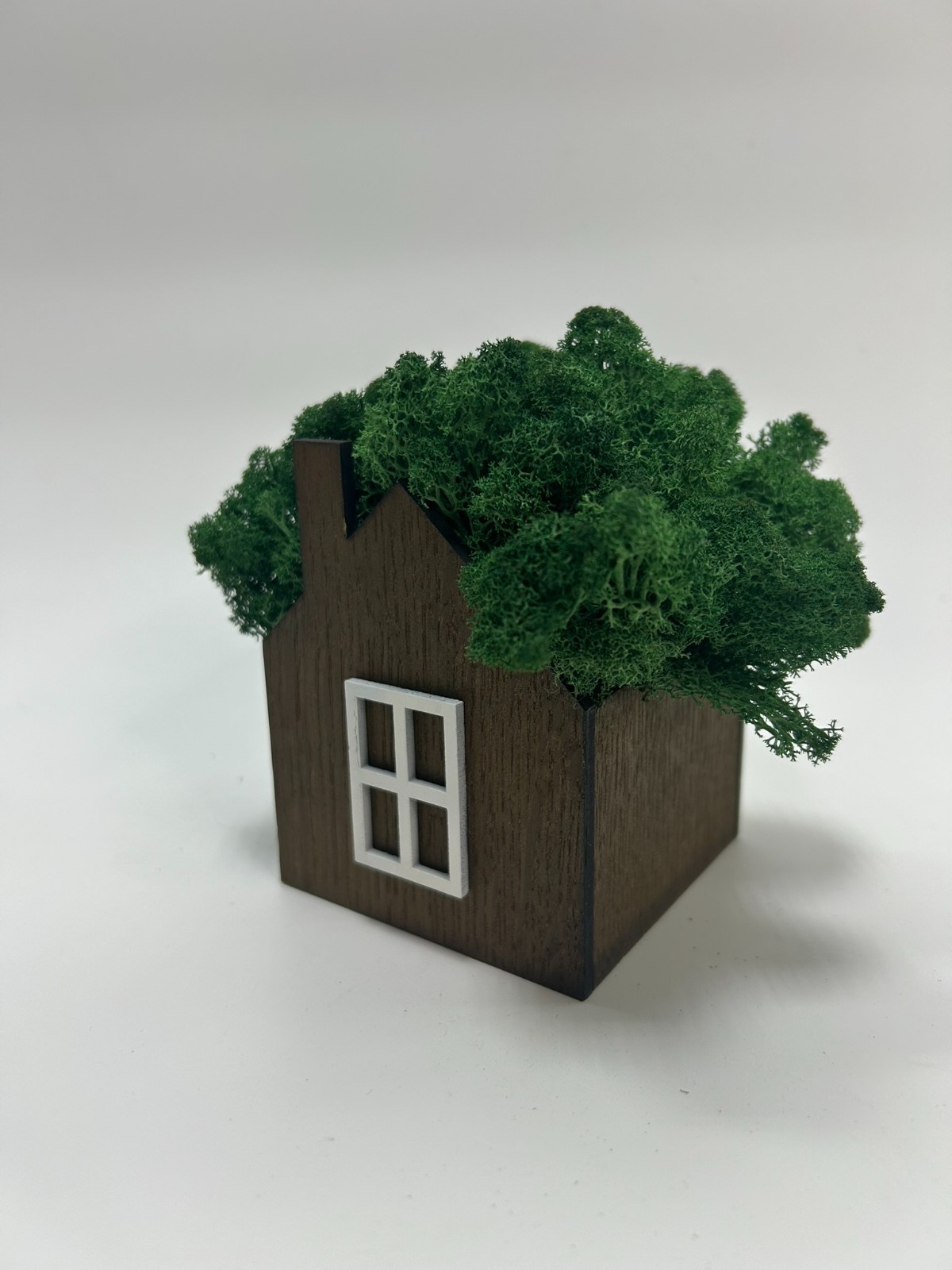 Handmade Wooden Moss House | Natural Eco Home Decor | Stabilized Moss Mini House
