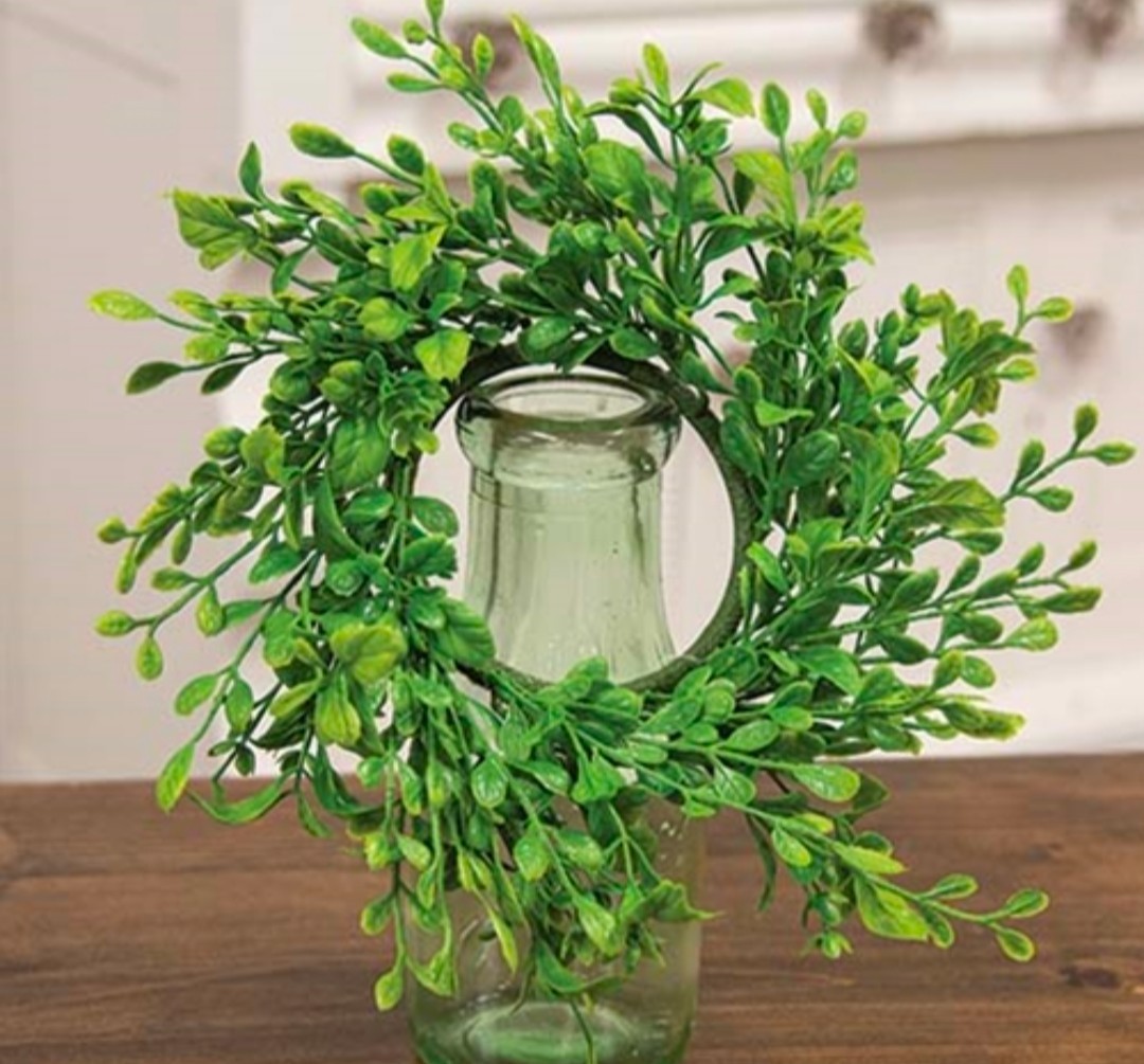3″ Fresh Sprouted English Boxwood Candle Ring