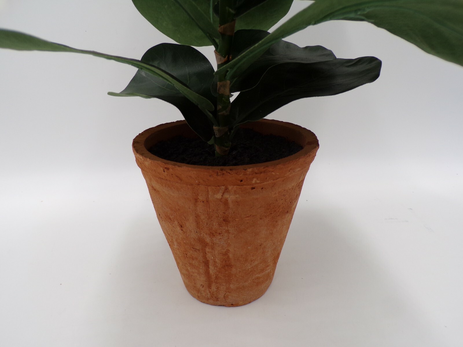 Pottery Barn Faux Potted Fiddle Leaf Houseplant with Terracotta Pot #2001M