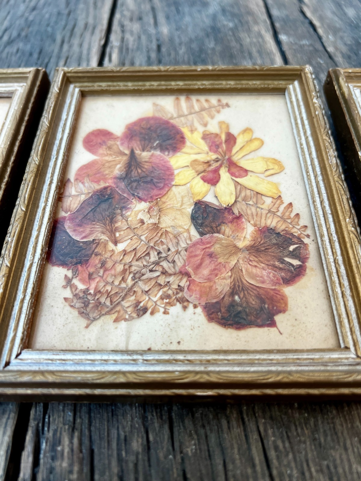 Vintage Dried Flower Artwork Set – Gold Wood Frame Wall Art (5 3/4″)