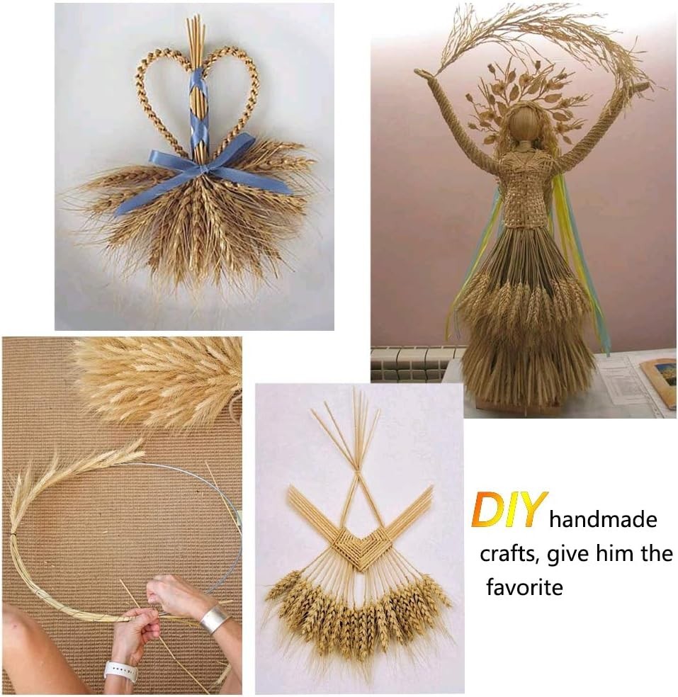 Dried Wheat Sheaves Bundle 100 Pcs Golden Natural Wheat Bouquet Bunch