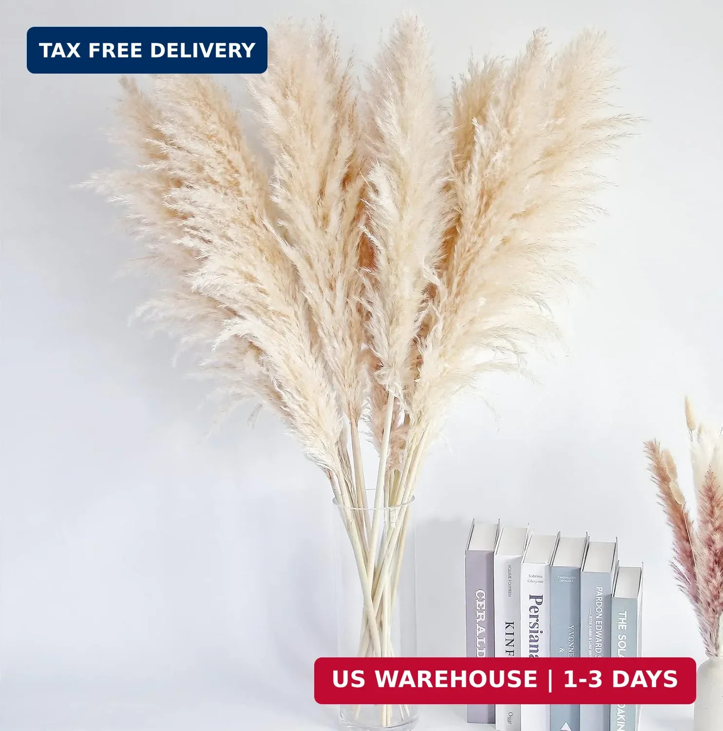 40″ inch 10 Stems Natural Pampas Grass Decor Tall, pompas Grass, Tall Pampas Gra