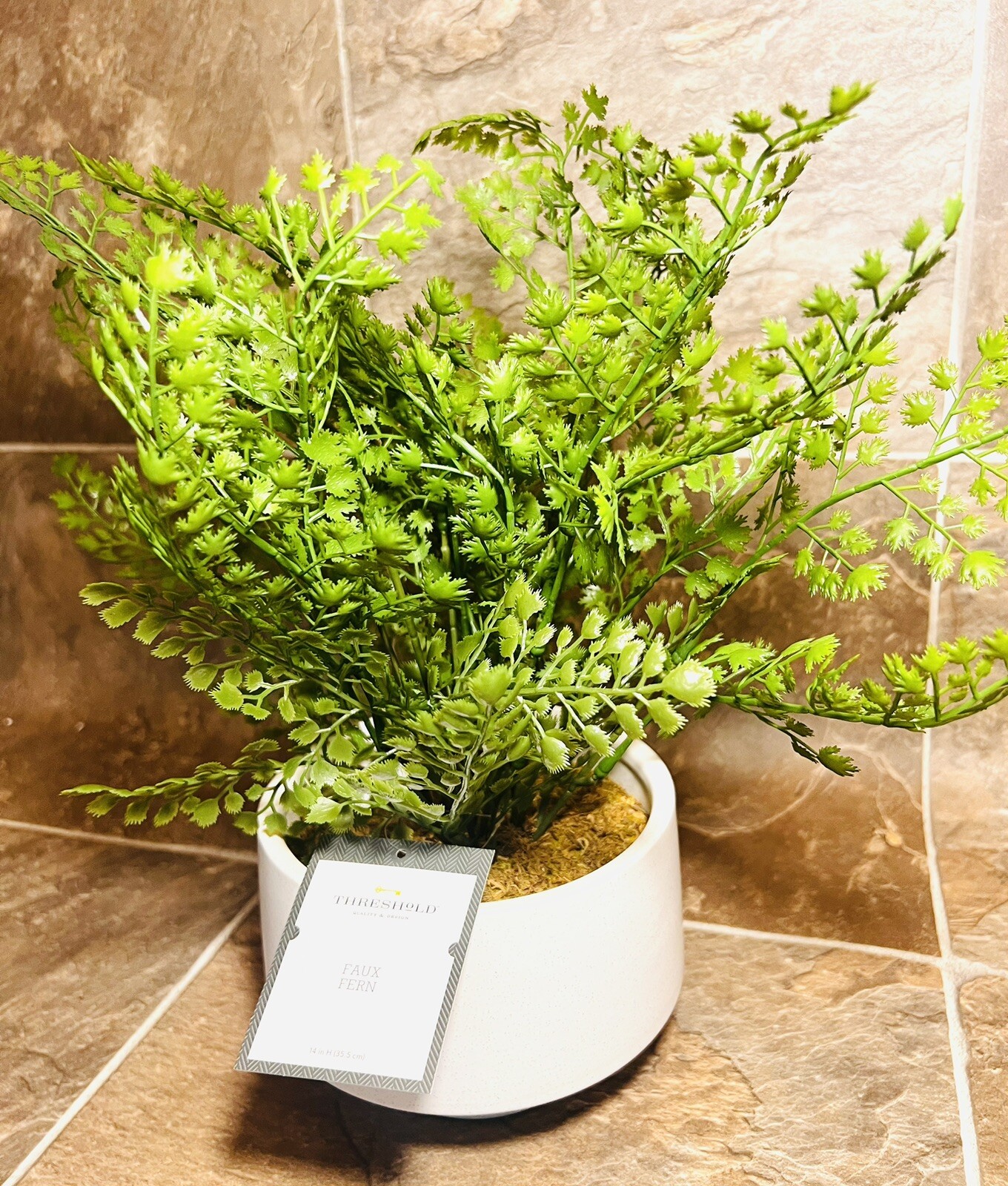 Threshold 14” Faux Fern Modern Ceramic Pot Artificial Arrangement – New