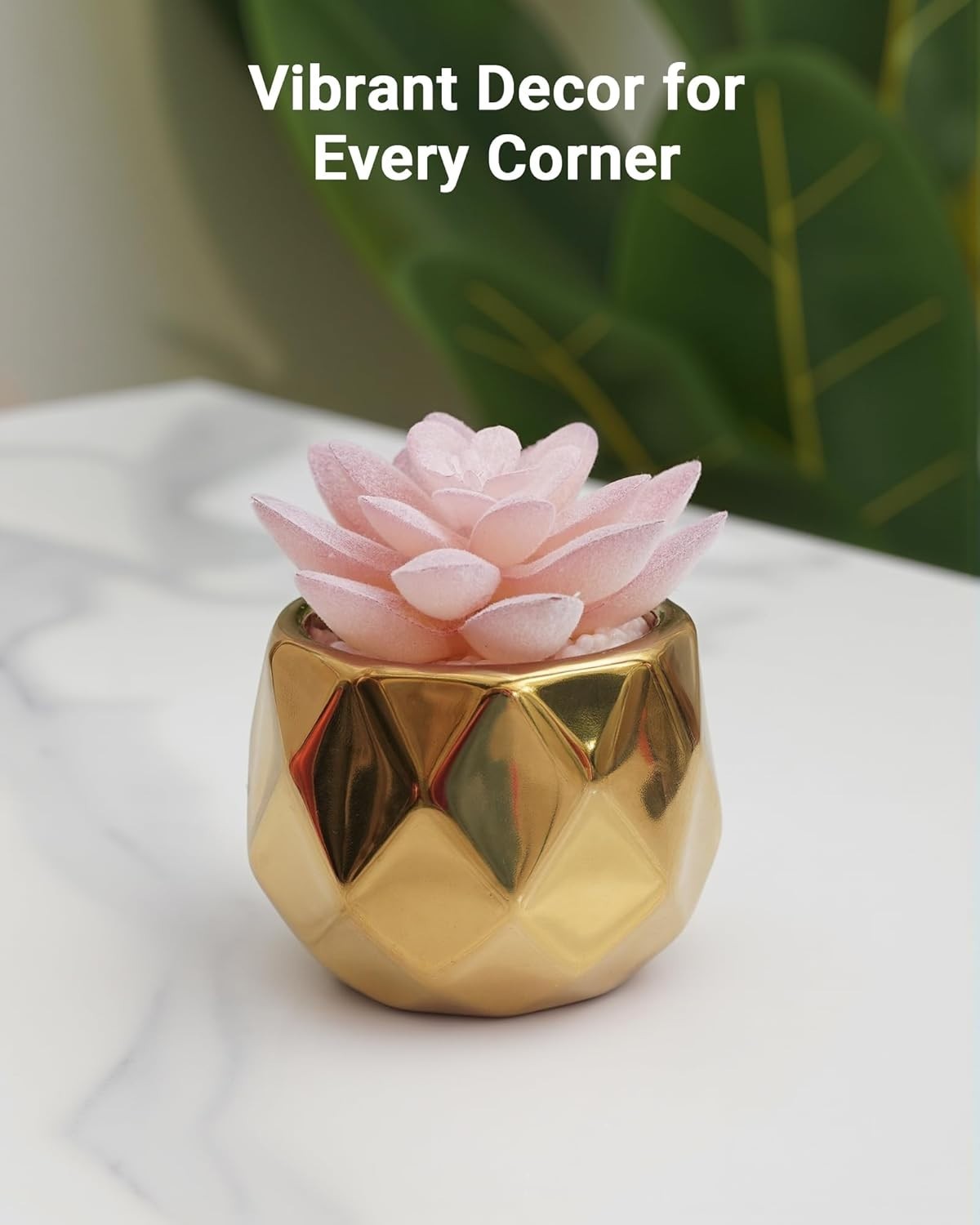 Elegant Mini Succulent Plants in Pink & Gold Ceramic – Perfect for Indoor Decor