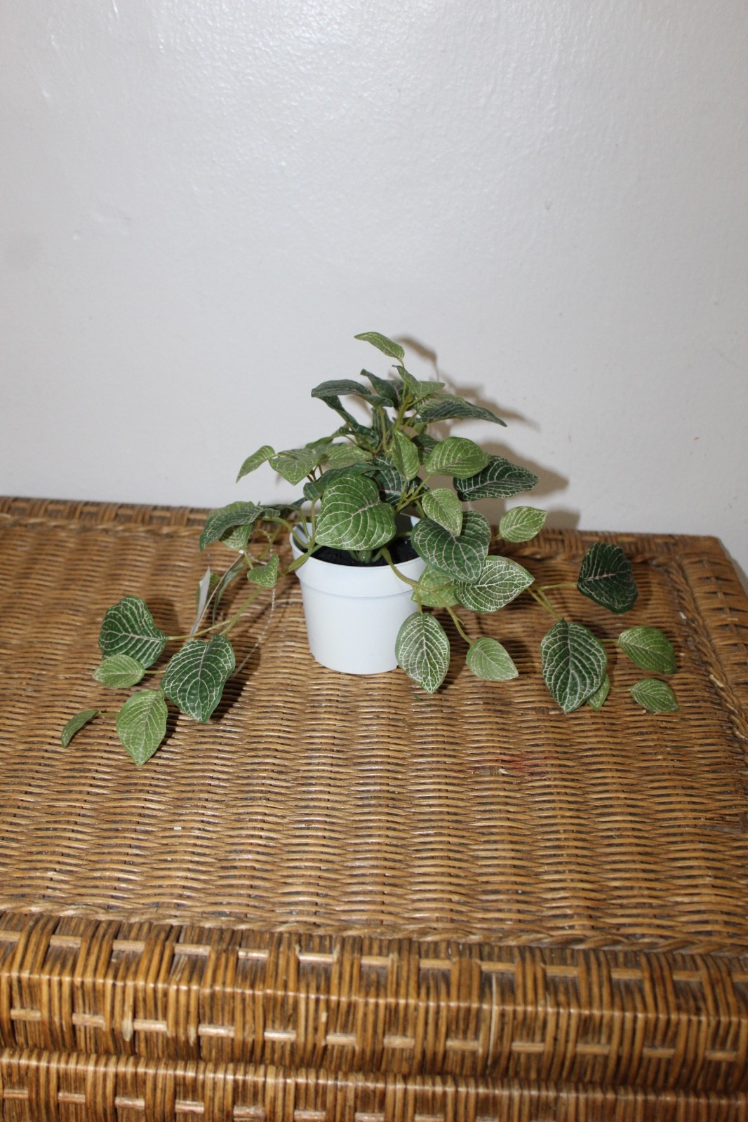 Williams Sonoma Artificial Potted Mosaic Leaf Plant