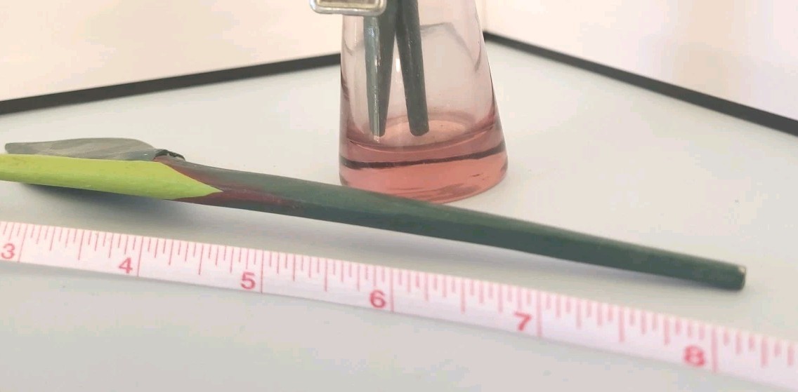 Vintage 3 Wooden Tulips Spring Bulb Flower In Handblown Pink/purple 5″ Vase.