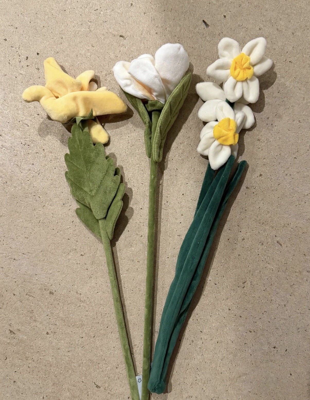 *RARE* CJ Hendry flower bundle – Natives – Yellow Balsam, Frangi + OG orchid