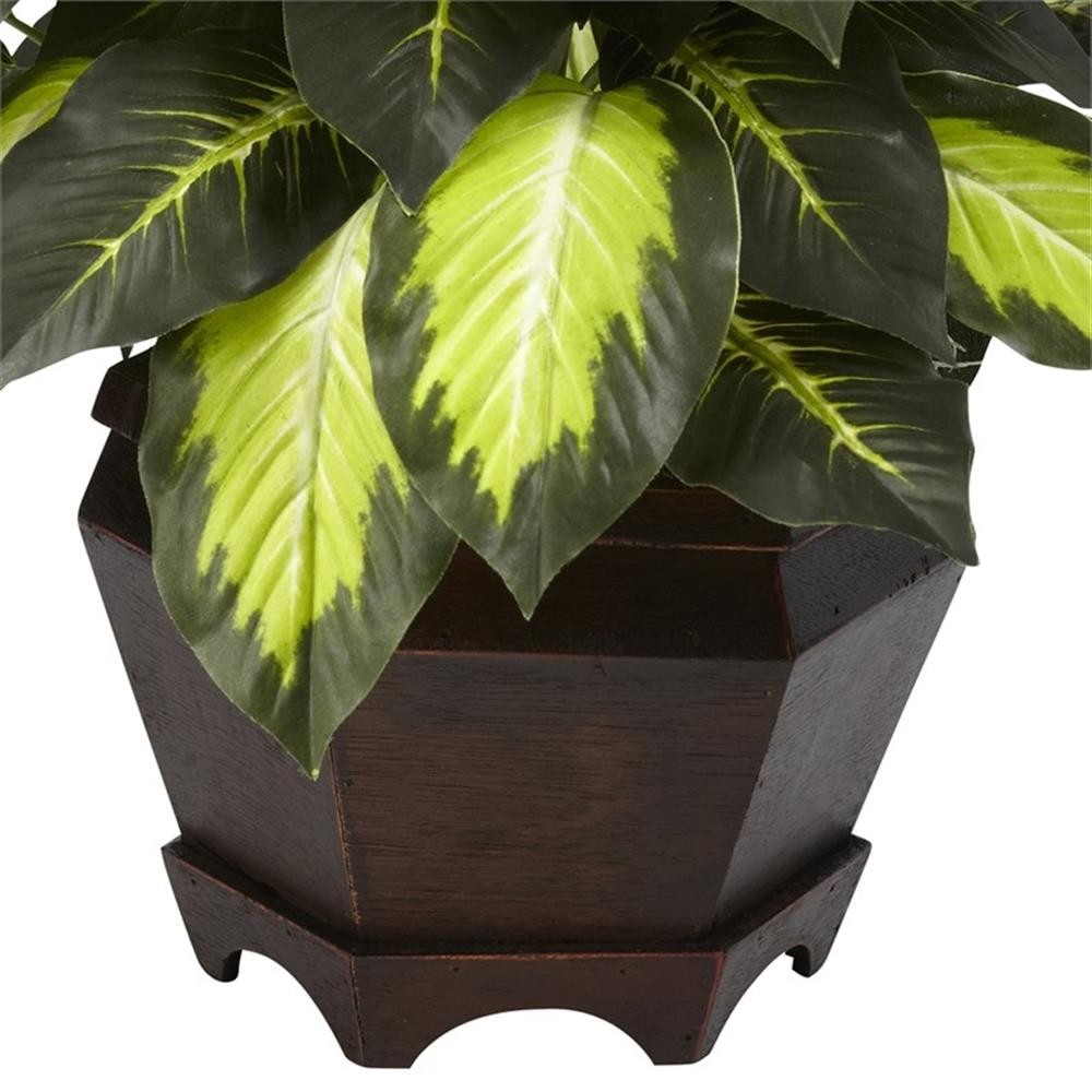 Pemberly Row Triple Golden Dieffenbachia with Wood Vase in Green/Black
