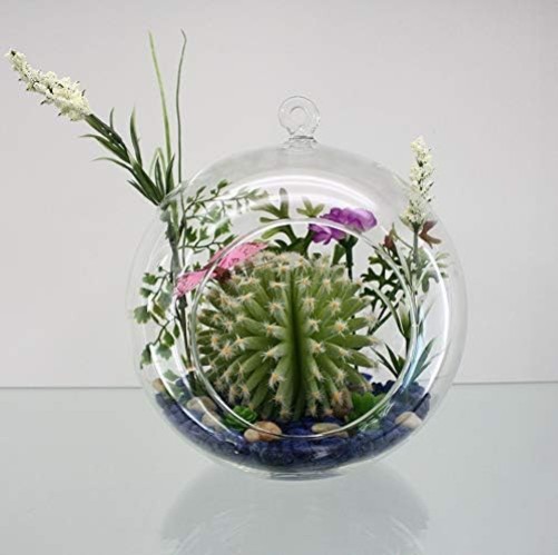 Elegant DIY Hanging Terrarium Globe – 6″ Glass Vase for Indoor or Outdoor Decor