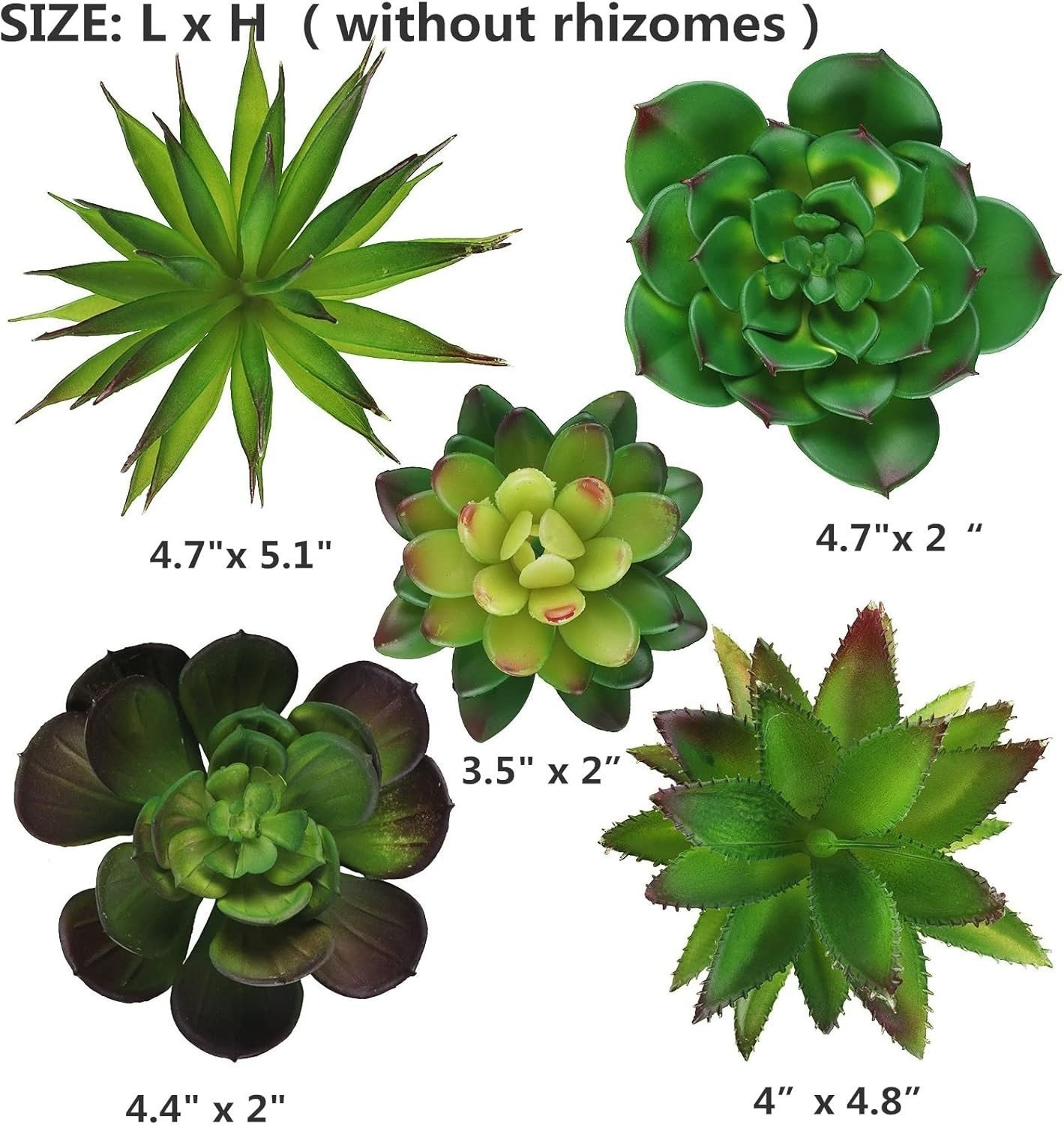 5-Piece Artificial Succulent Set – Perfect for Home, Office, and Events
