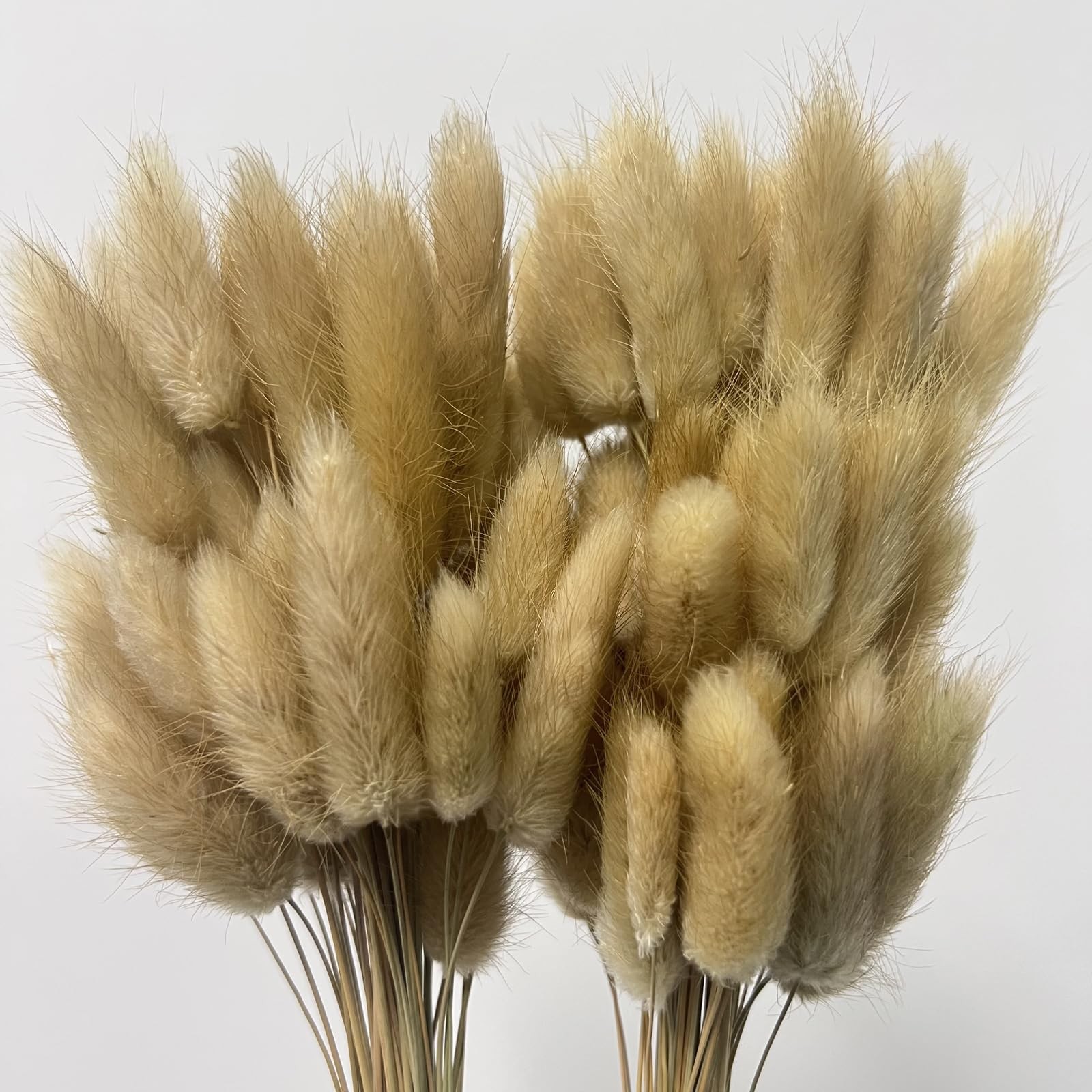 120PCS Bunny Tails Dried Flowers,17″ Brown Pampas Grass Natural Rabbit Tail G…